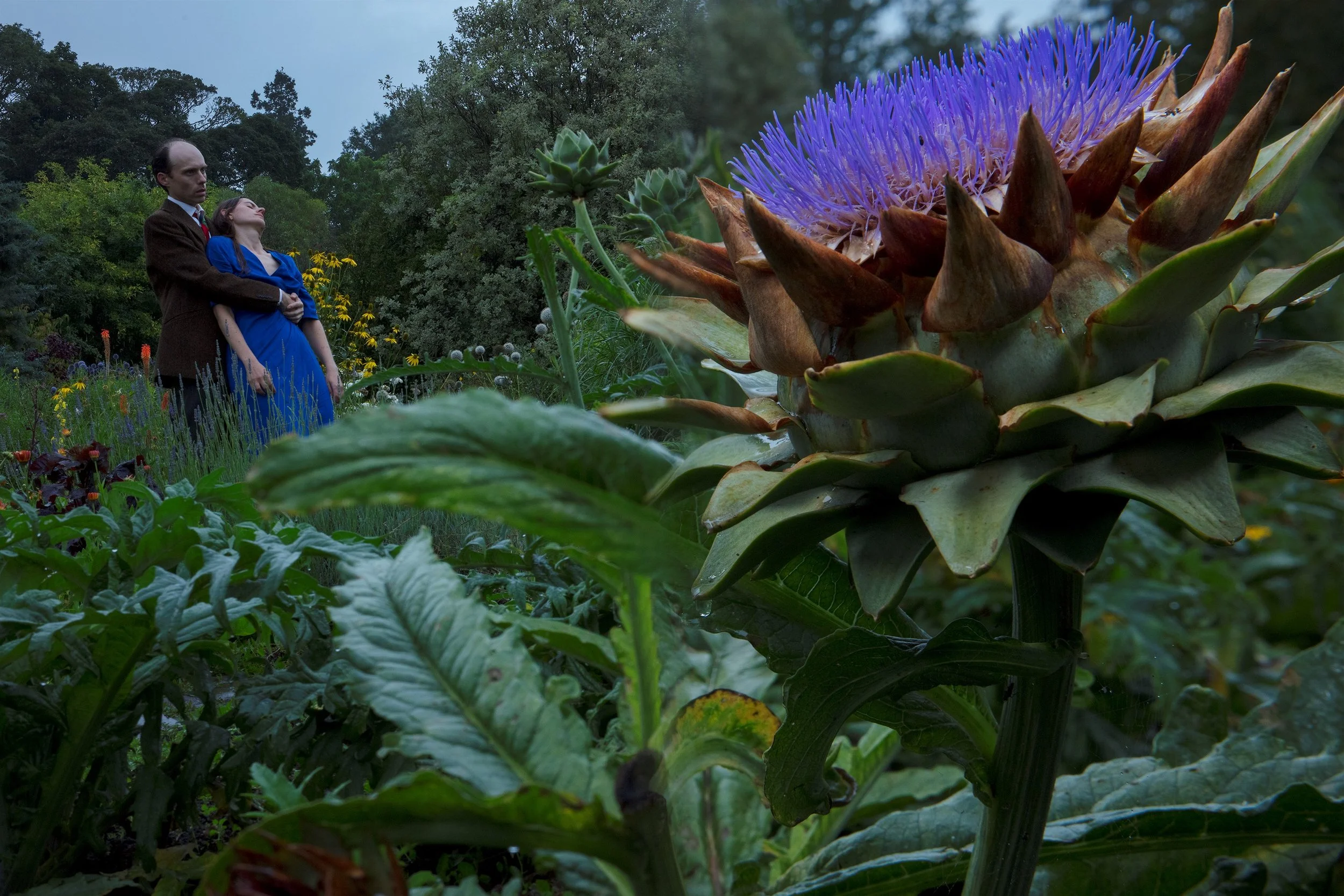 Daniel & Clara_A Sudden Downpour_2024.jpg