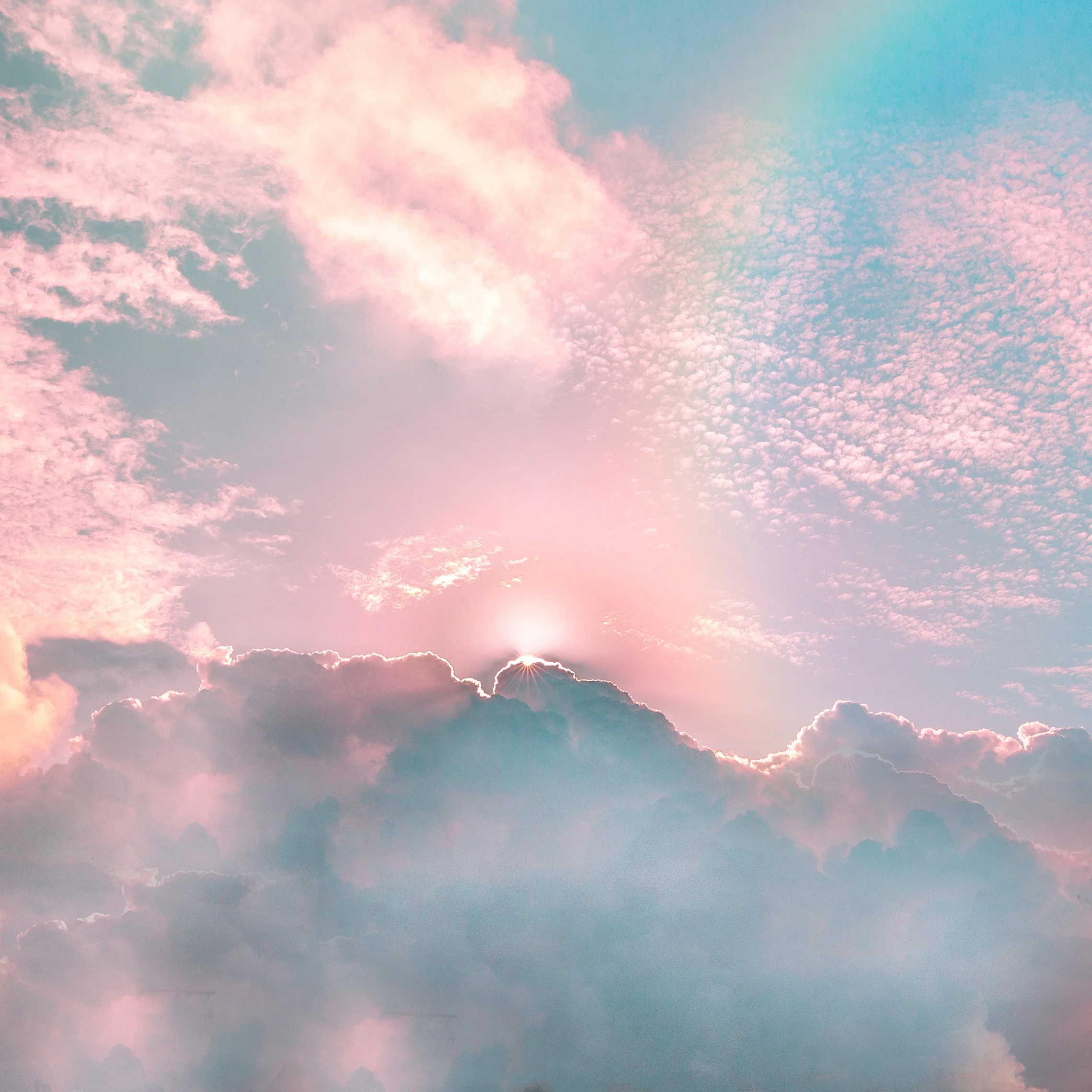 Ventura Photo Camp Code of Conduct