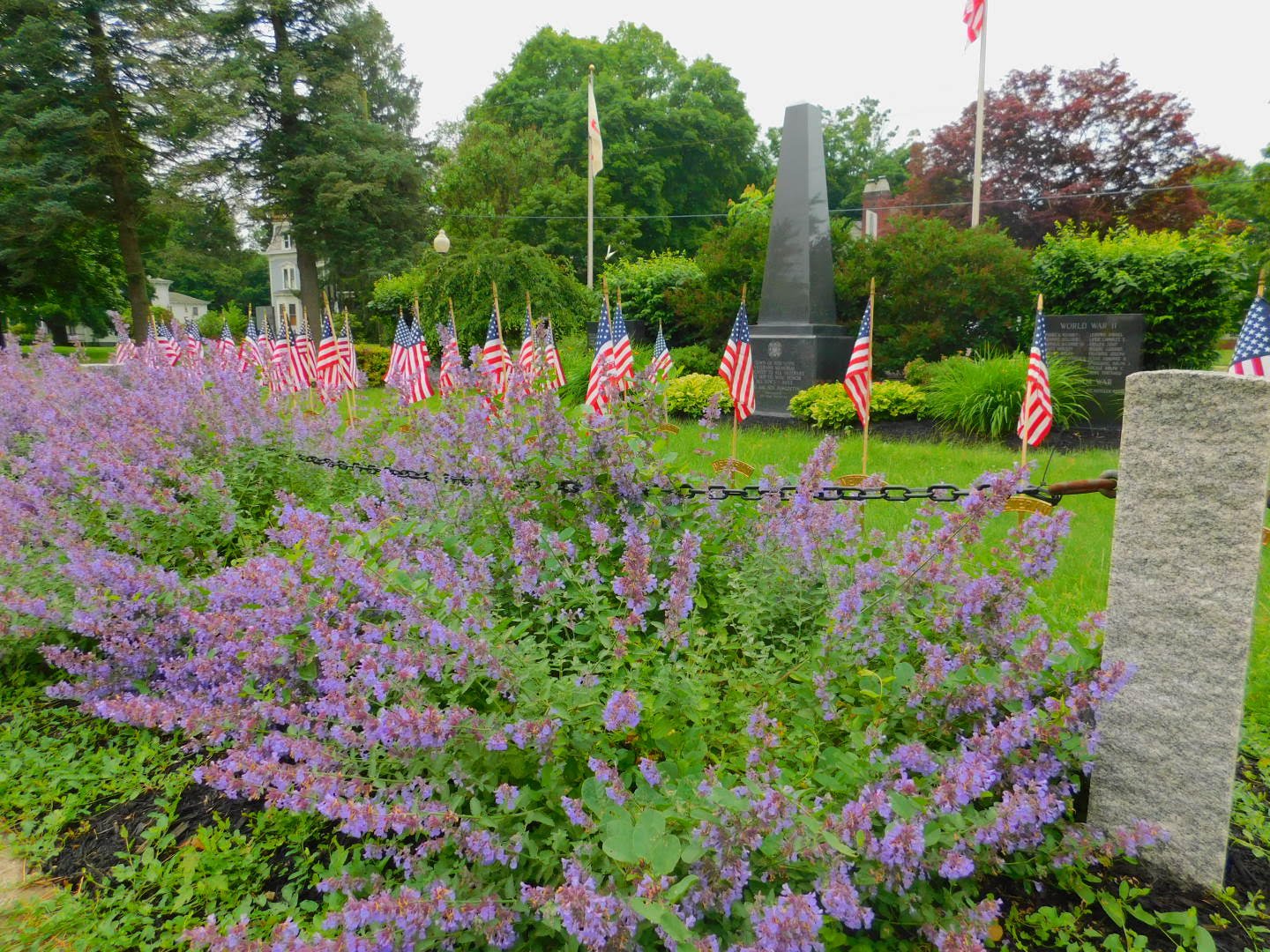 To Save or Not to Save The Path Forward from the Fell Collection