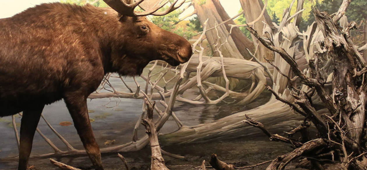 FM Ensures a Safe Bell Move