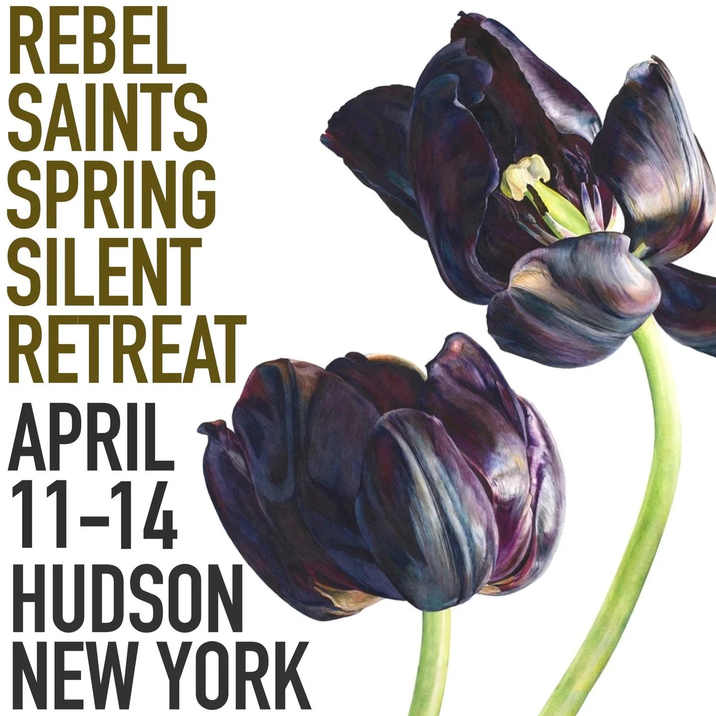 The first chance to sit silent meditation retreat with Rebel Saints in the Northeast will be April 11-14th, 2025 at the Won Dharma Center just outside Hudson, New York. Rachael Savage will be leading us in the 2600 year old practice of kindness or me