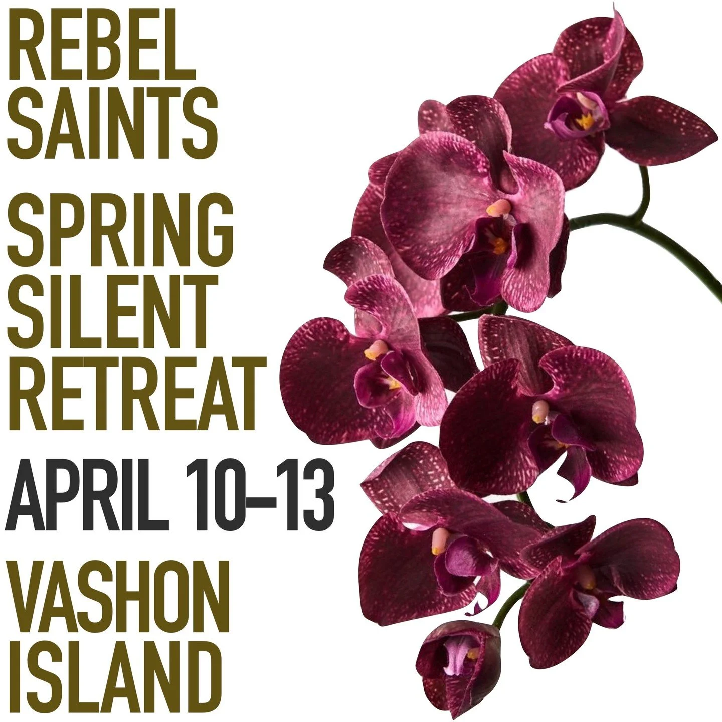 The next chance to sit silent retreat with Rachael Savage and Rebel Saints from all over will be April 10-13th on Vashon Island near Seattle. Rachael will be leading us in mindfulness practice. A chance to deepen your practice and spend three days on