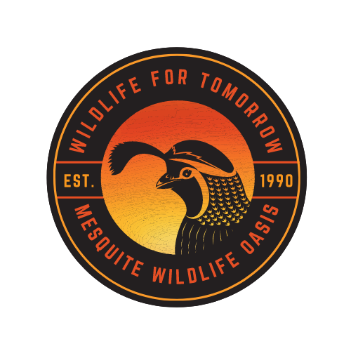 Mesquite Wildlife Oasis 