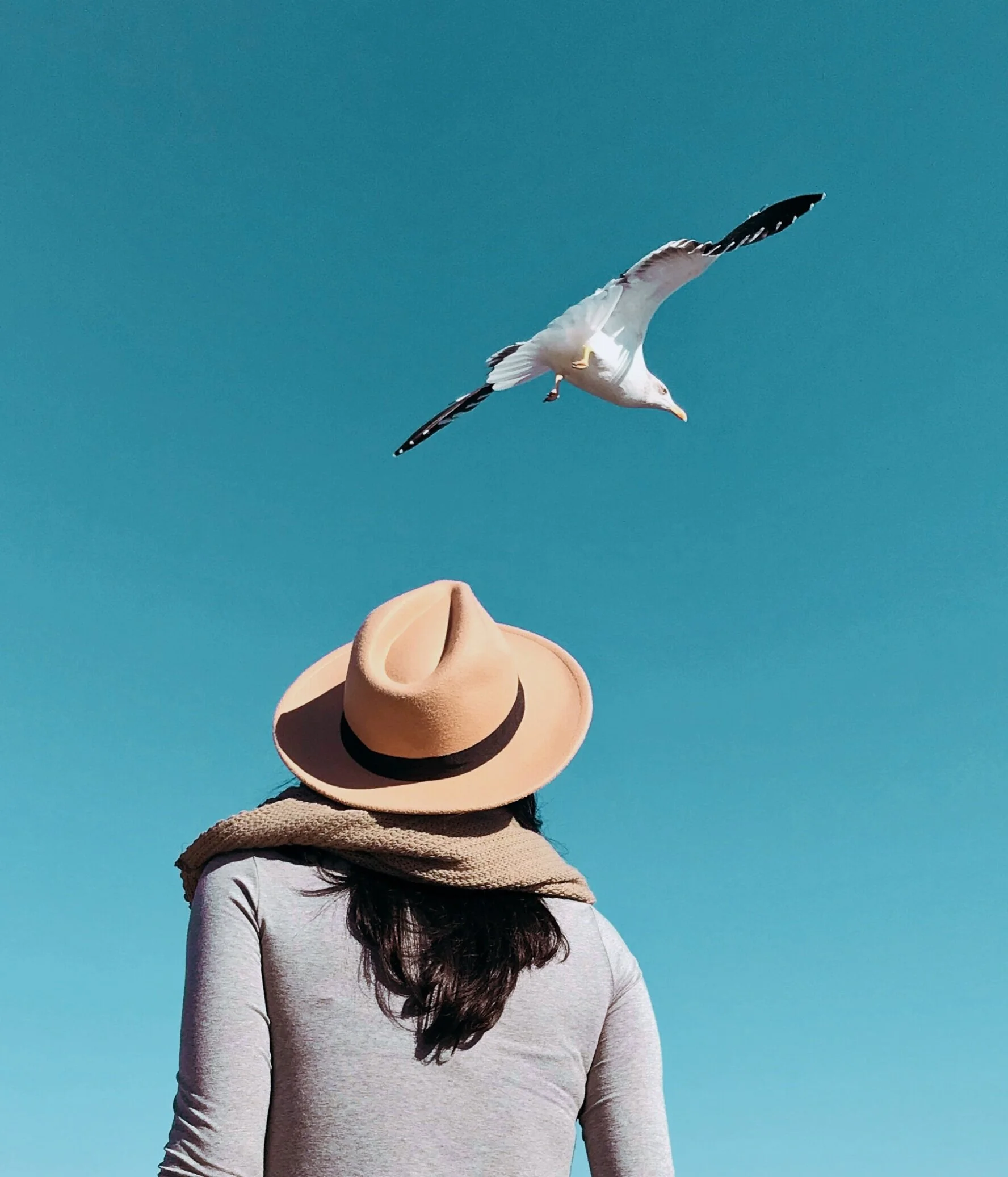 Fernanda Bentancor (Fiction), by Scott Burton 