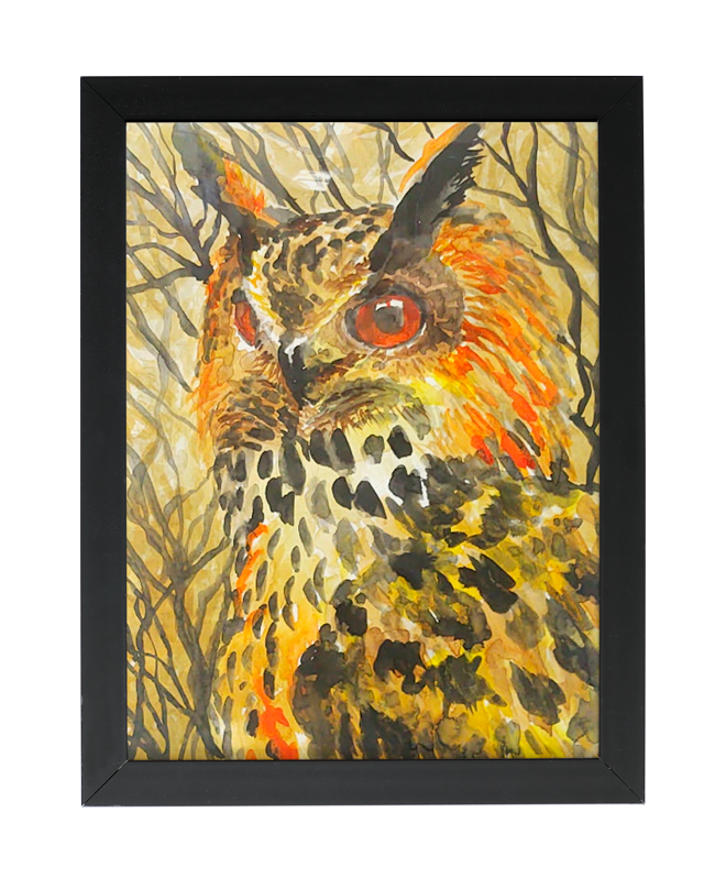 Zachery Shay – Owl Forest