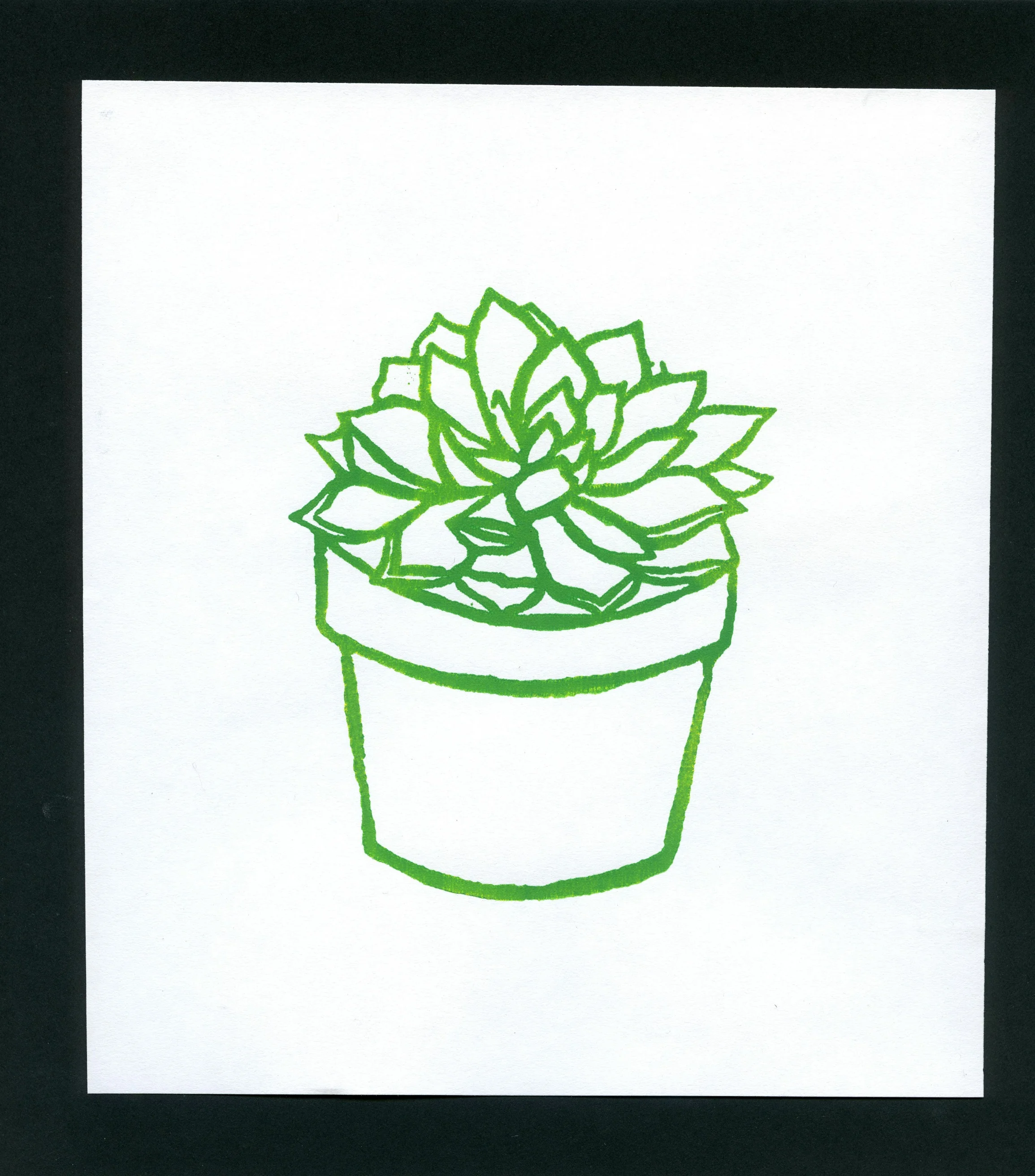 succulent print.jpg