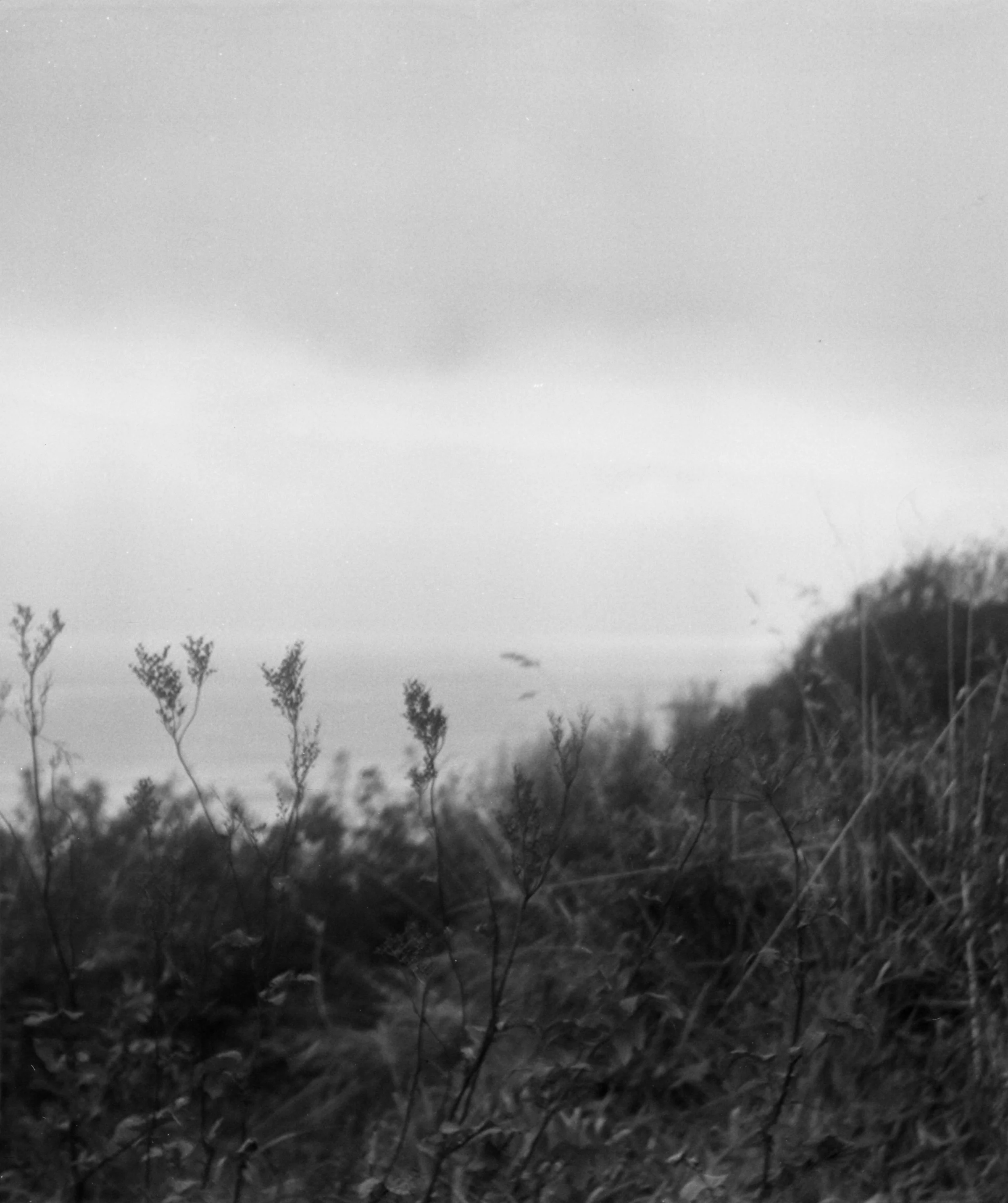 reel1055 EDITED NO SCRATCHES.jpg