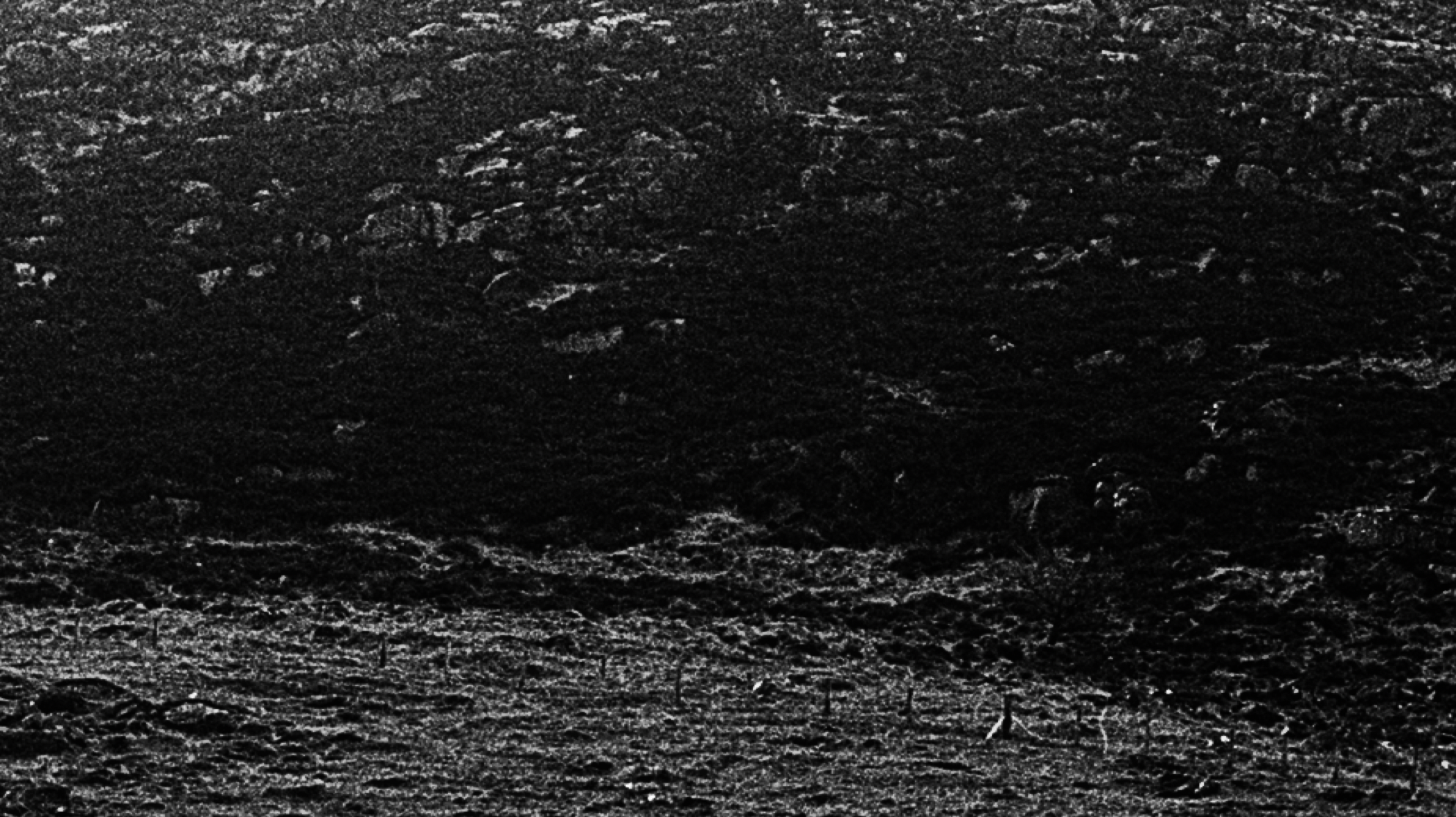 Screen Shot 2021-05-27 at 17.44.45.png