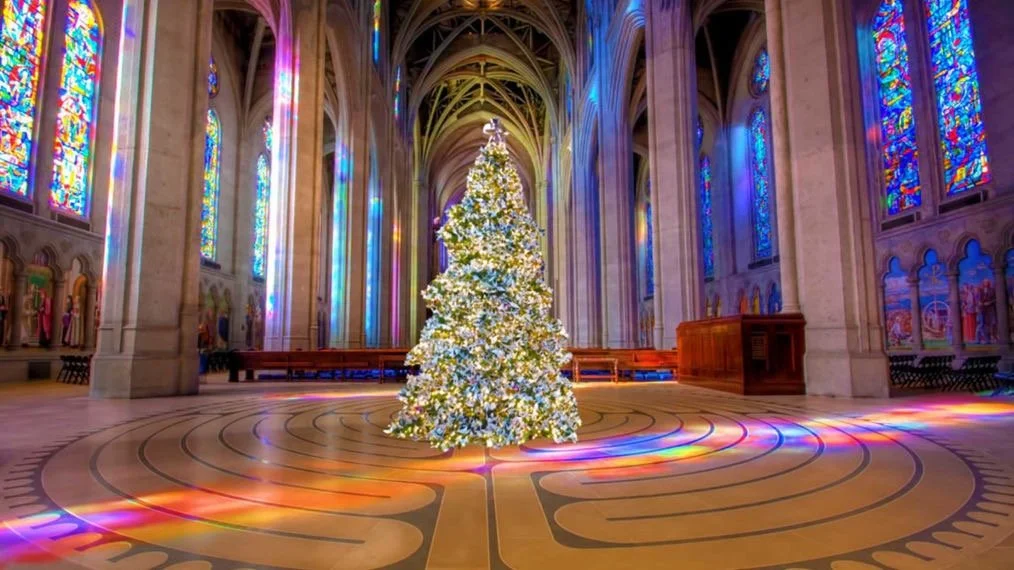 American Bach | A Baroque Christmas