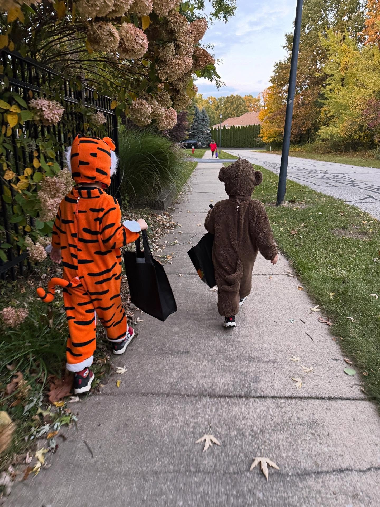 Wild Halloween. This age may be my favorite 🐵🐯