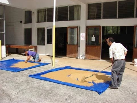 Carefully drying their Organic Rice Bran EM® Bokashi.