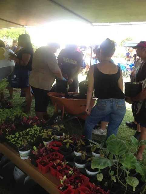 Families were able to select a number of vegetables & herbs to plant in their own container garden to take home. 