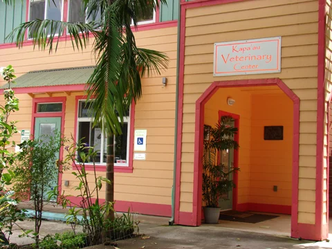 Kapaau Veterinary Center also sells dehydrated liver treats for dogs that are fermented with EM®. It's a great way to get some organ meat and EM® into them on a regular basis.