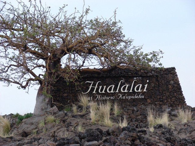 Hualalai Feb. 2, 2007a.jpeg