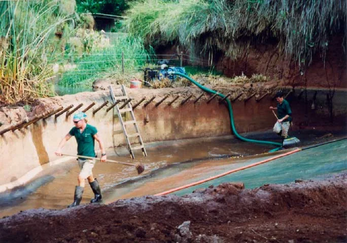 EM® reduces algae growth, thereby labor needed to clean the pond is reduced by half