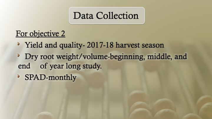 Big picture research dissertation