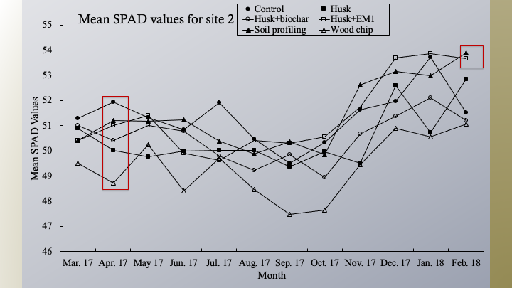 Big picture research dissertation