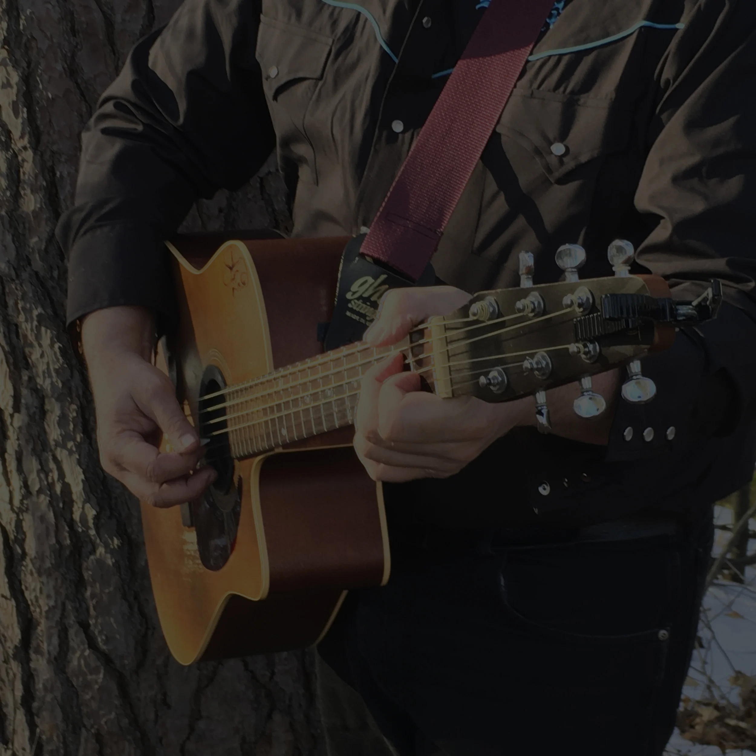 Carl_Jackson_music-guitar_1.jpg