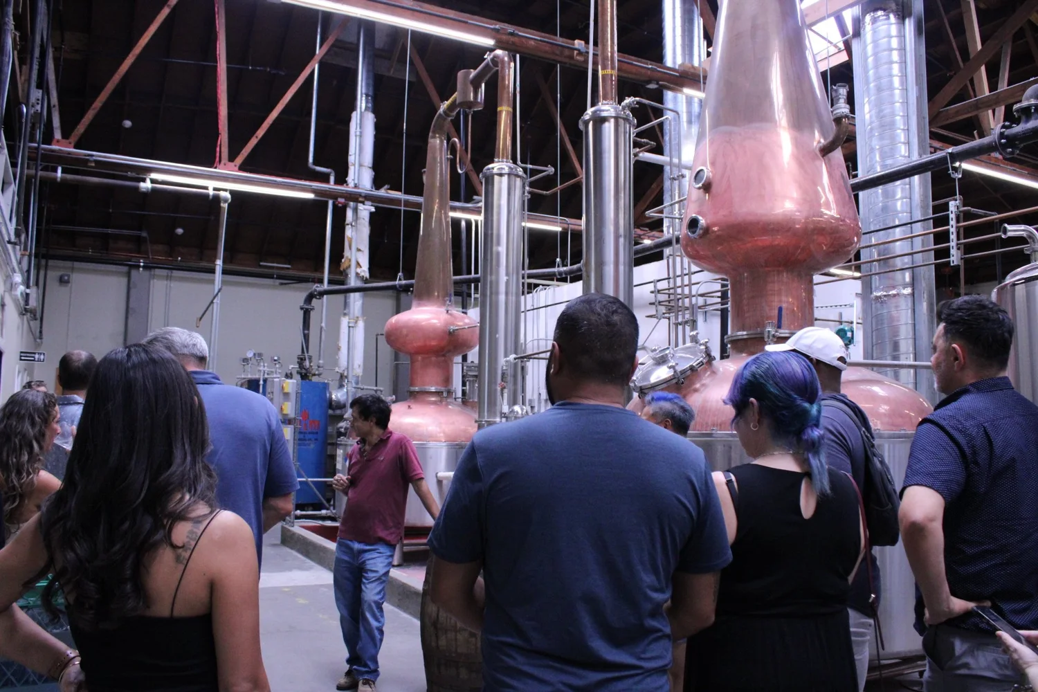 Distillery tour and private whisky tasting