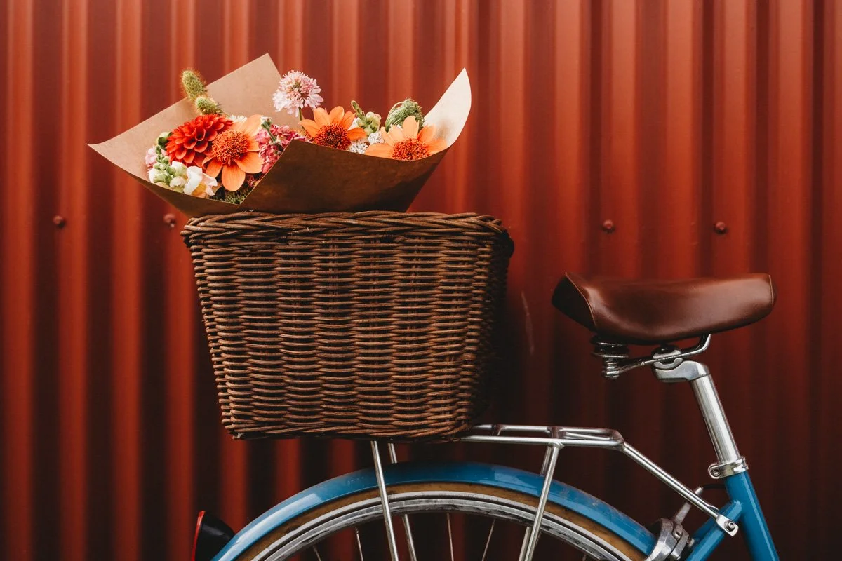 CLP14 Feb 2023_JessicaFlora74lr.jpg