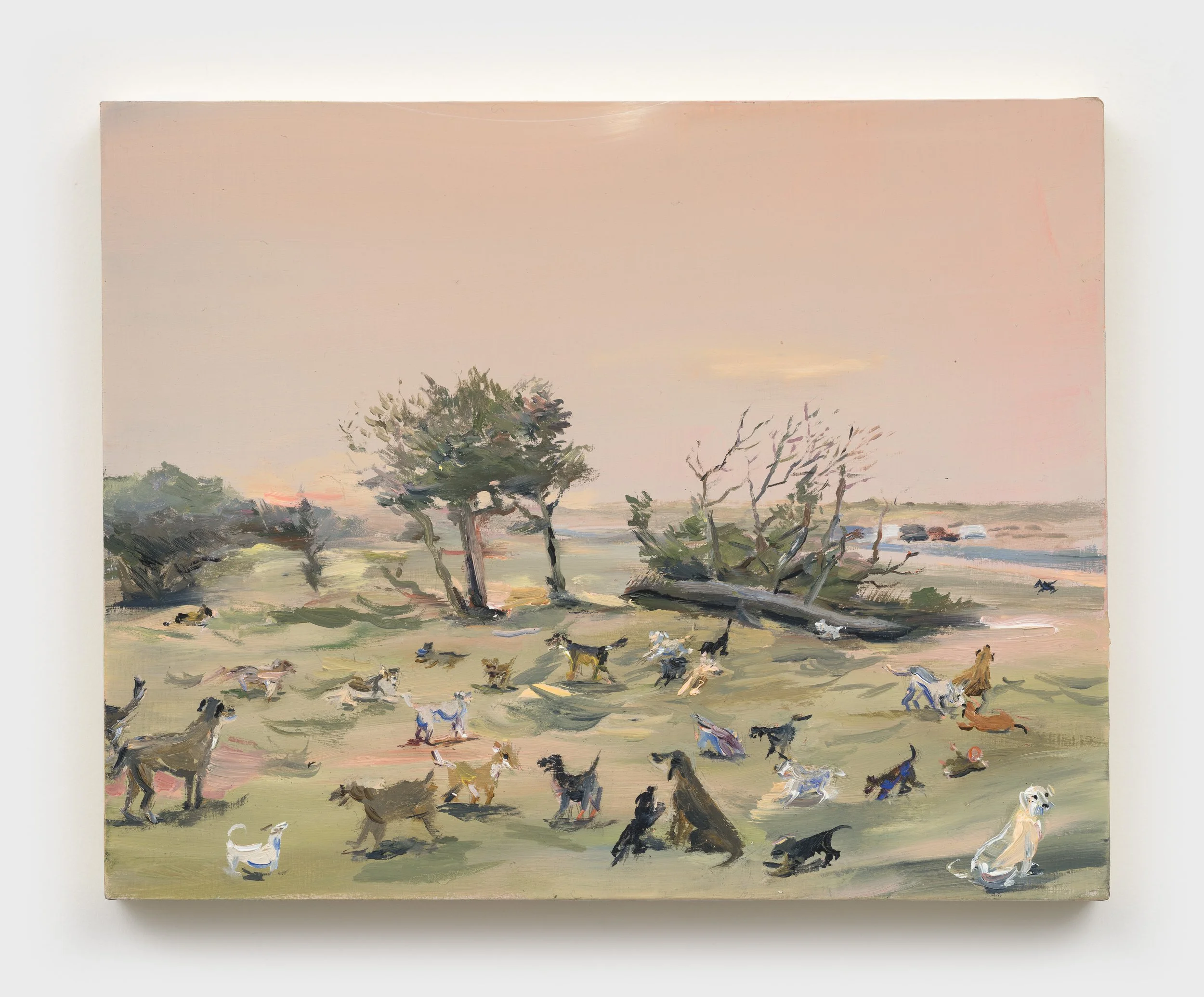 30 Dogs