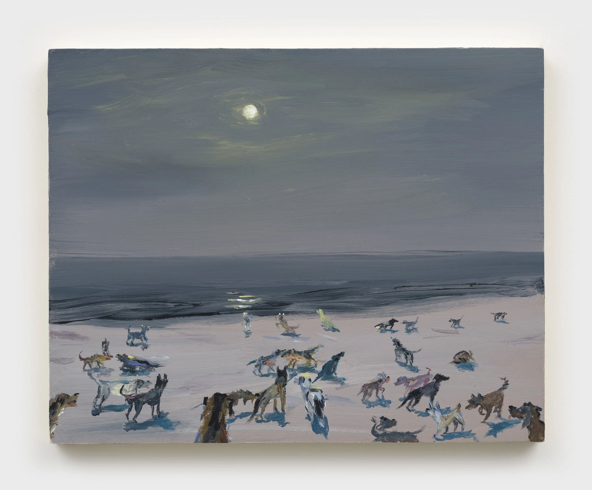 The moon with 30 dogs