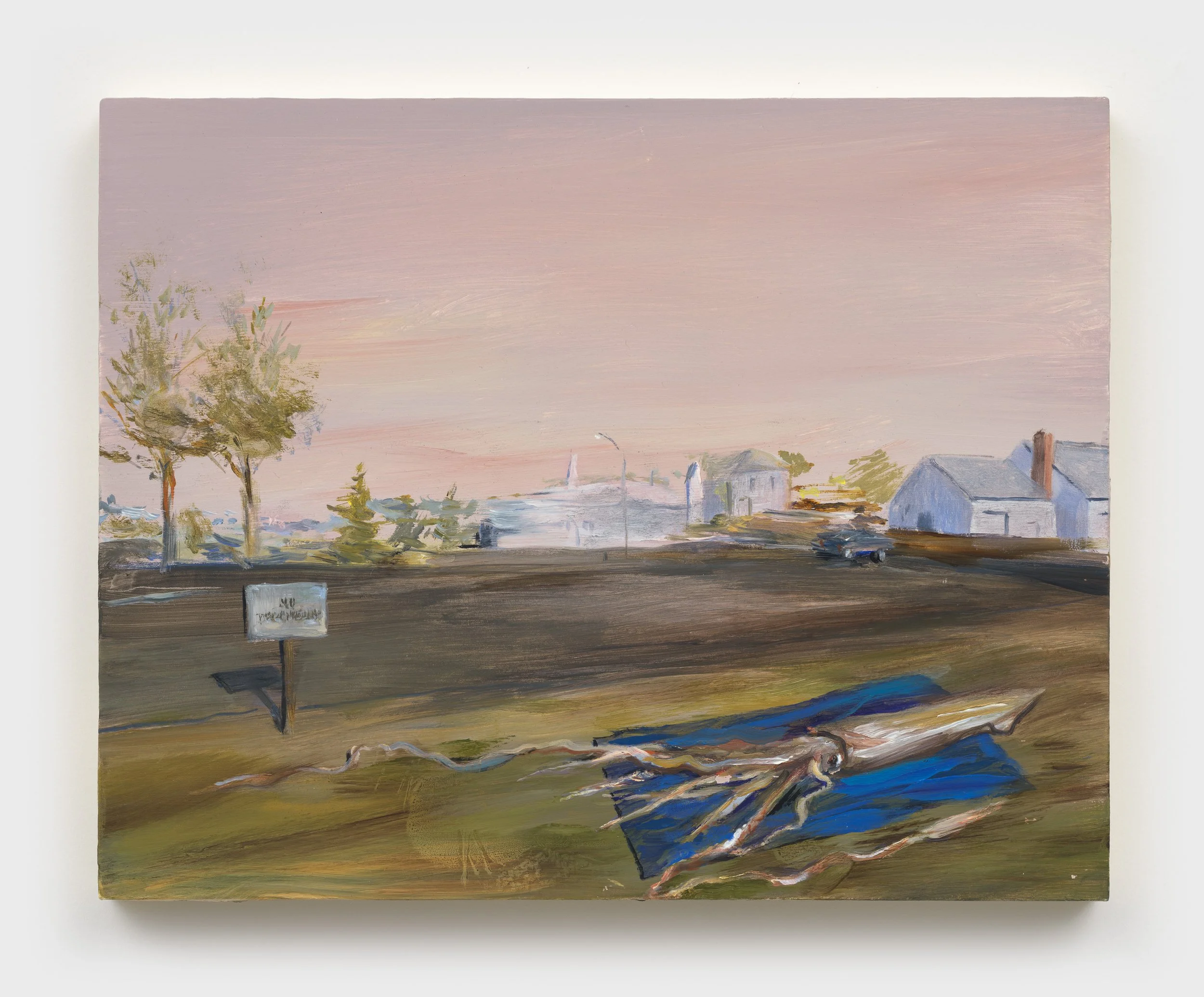Architeuthis tarp