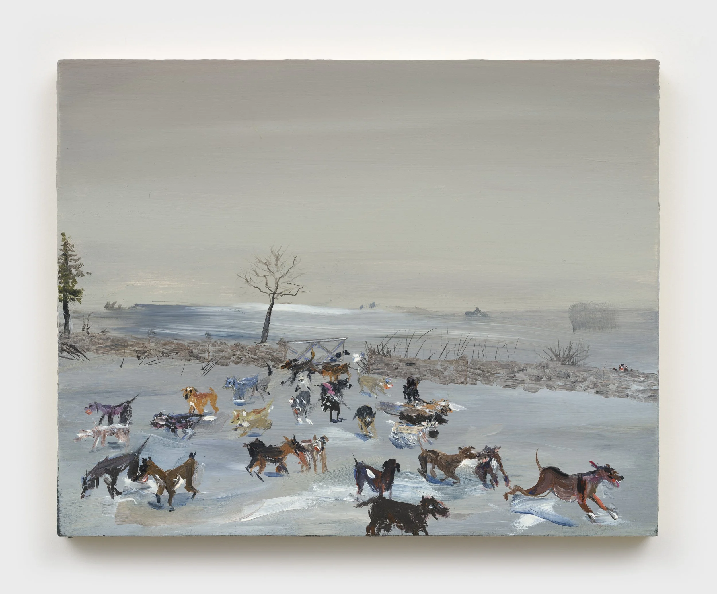 30 dogs in the snow