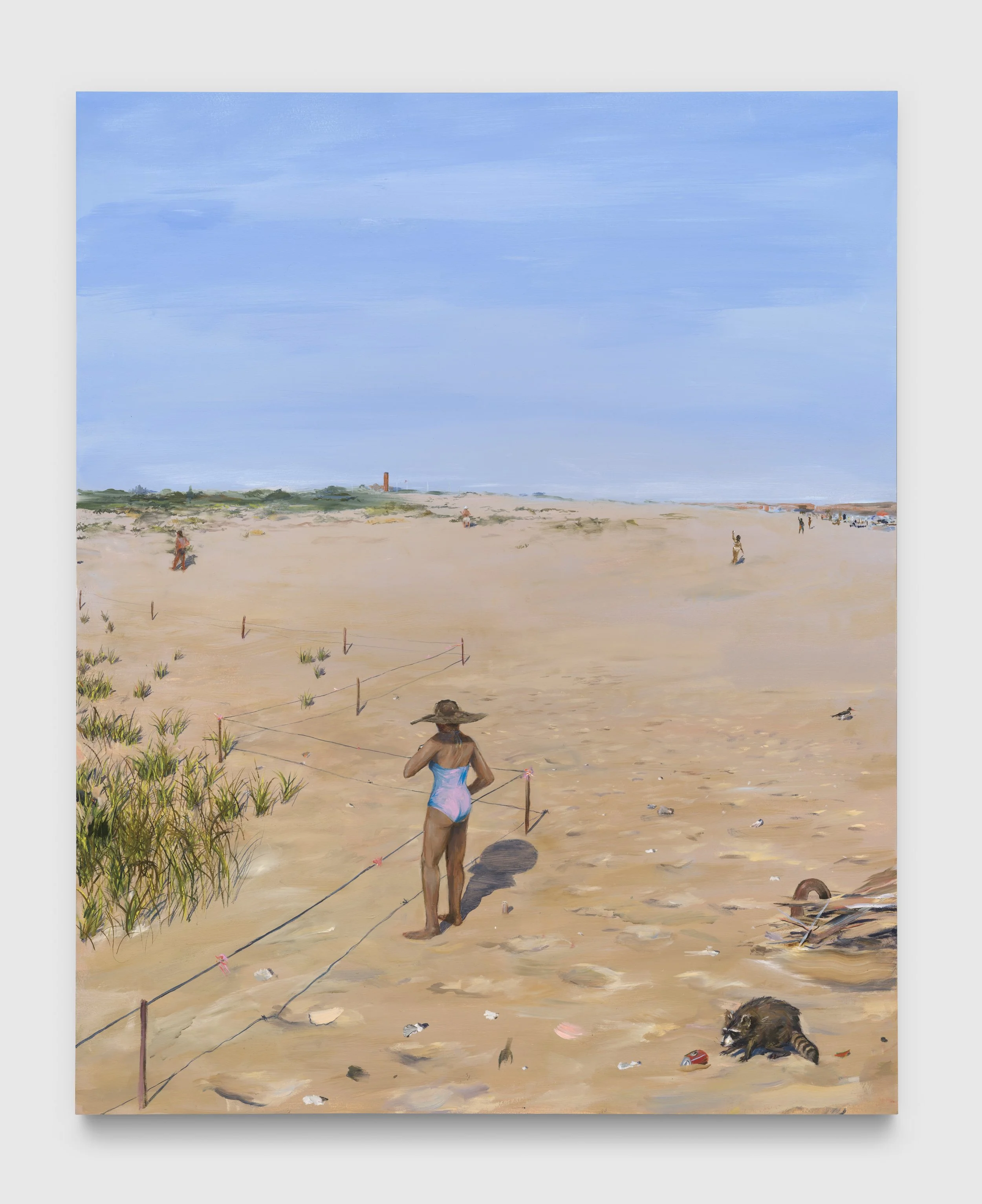 Rockaway Raccoon.jpg