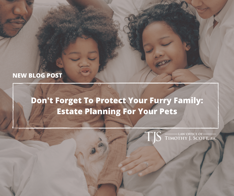 Don't Forget To Protect Your Furry Family: Estate Planning For Your Pets