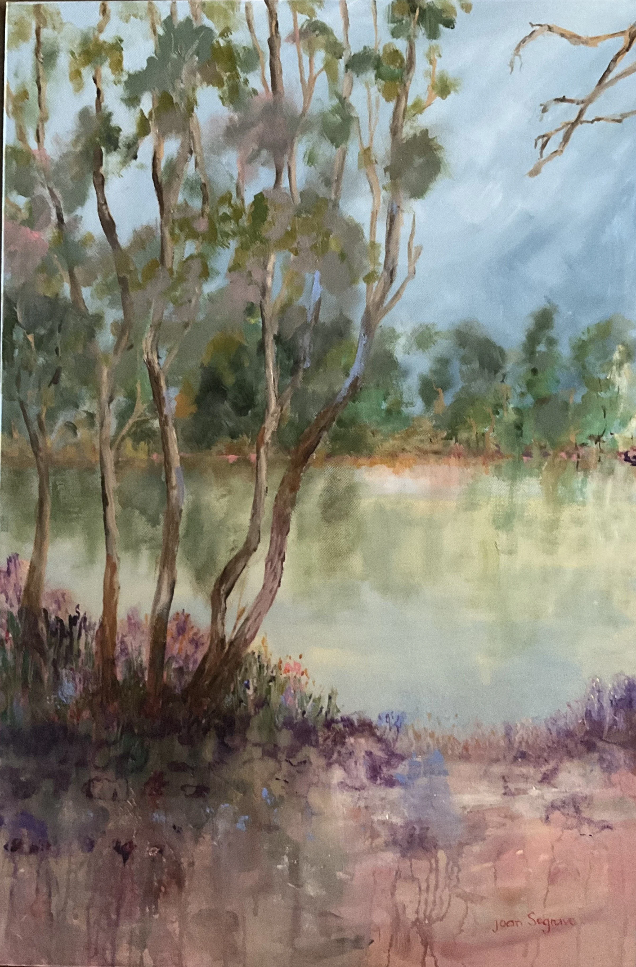 Goulburn River in Flood