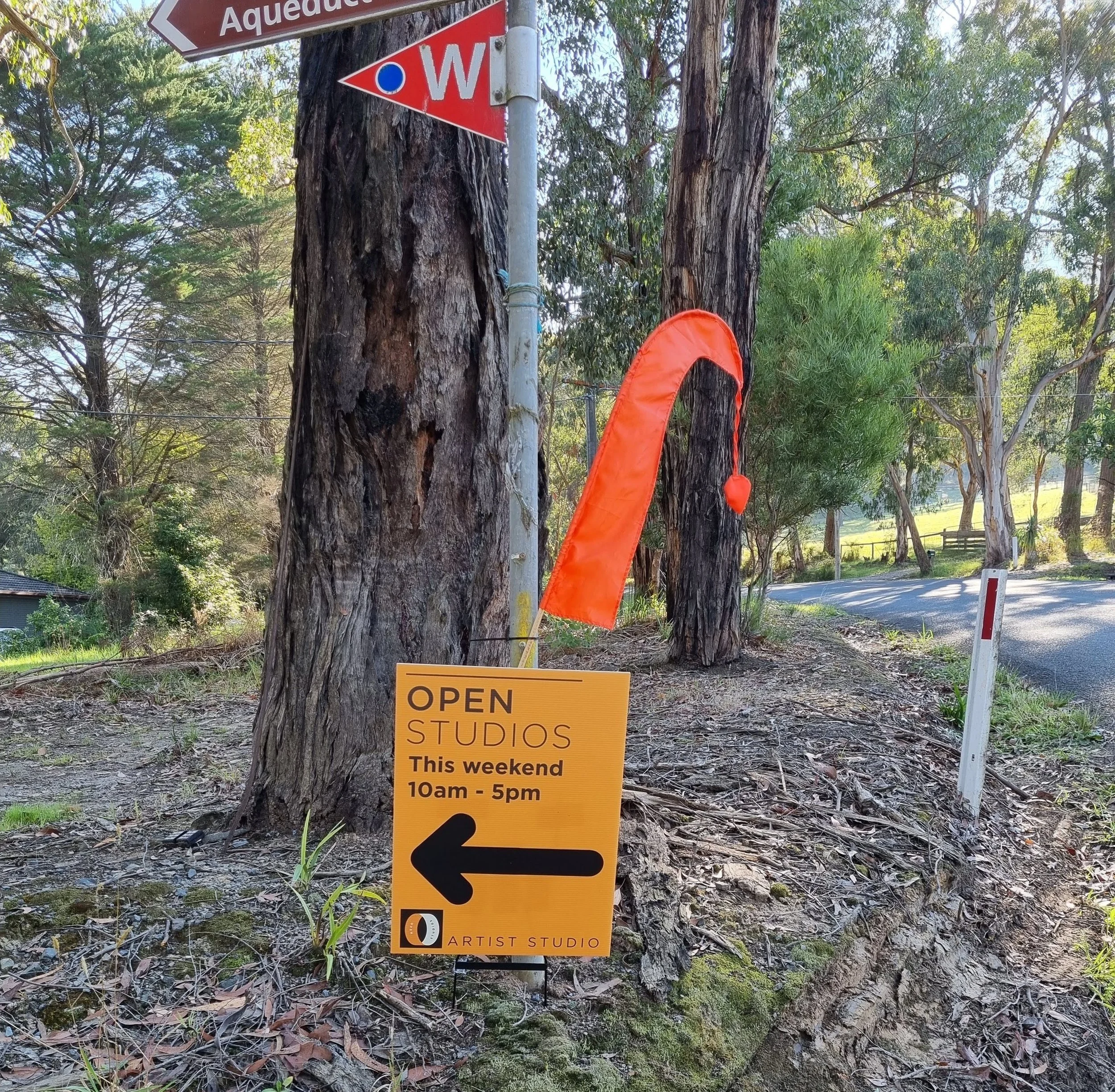 sign+flag.jpg