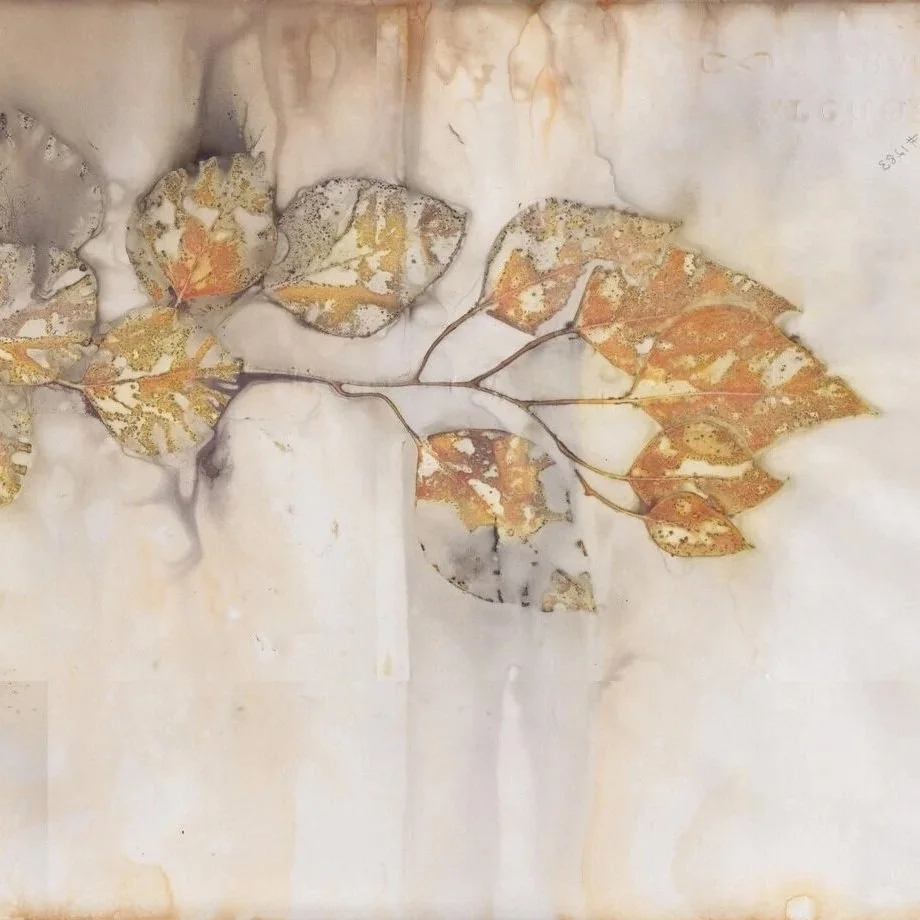Cecilia Sharpley