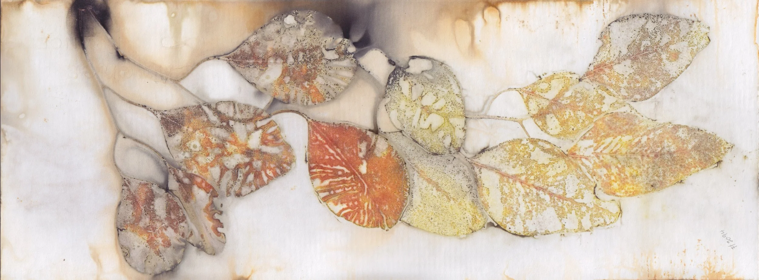Cecilia Sharpley