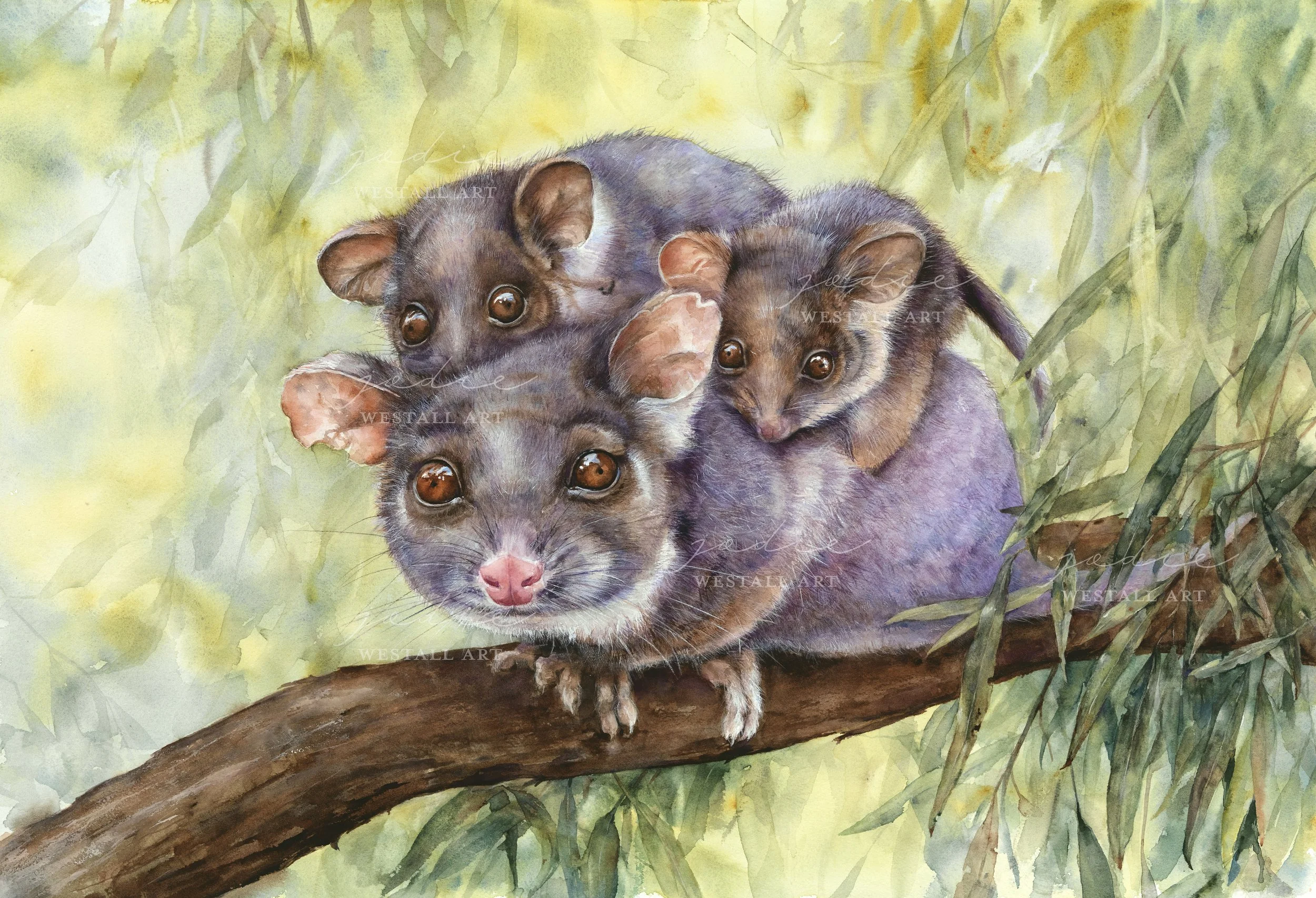 A Mothers Love - Jodie Westall