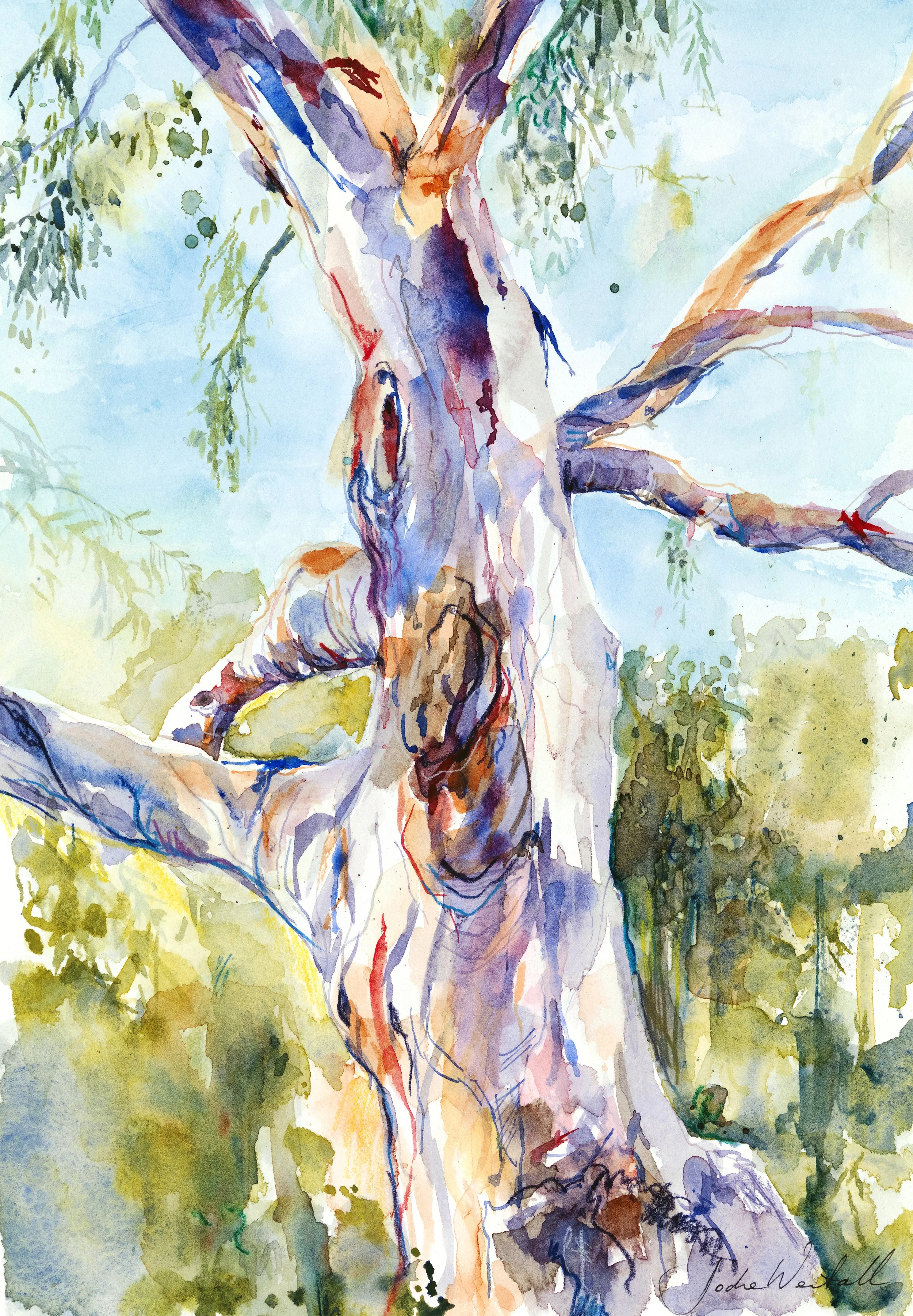 Whispers_of_colour_jodie_westall_art.jpg