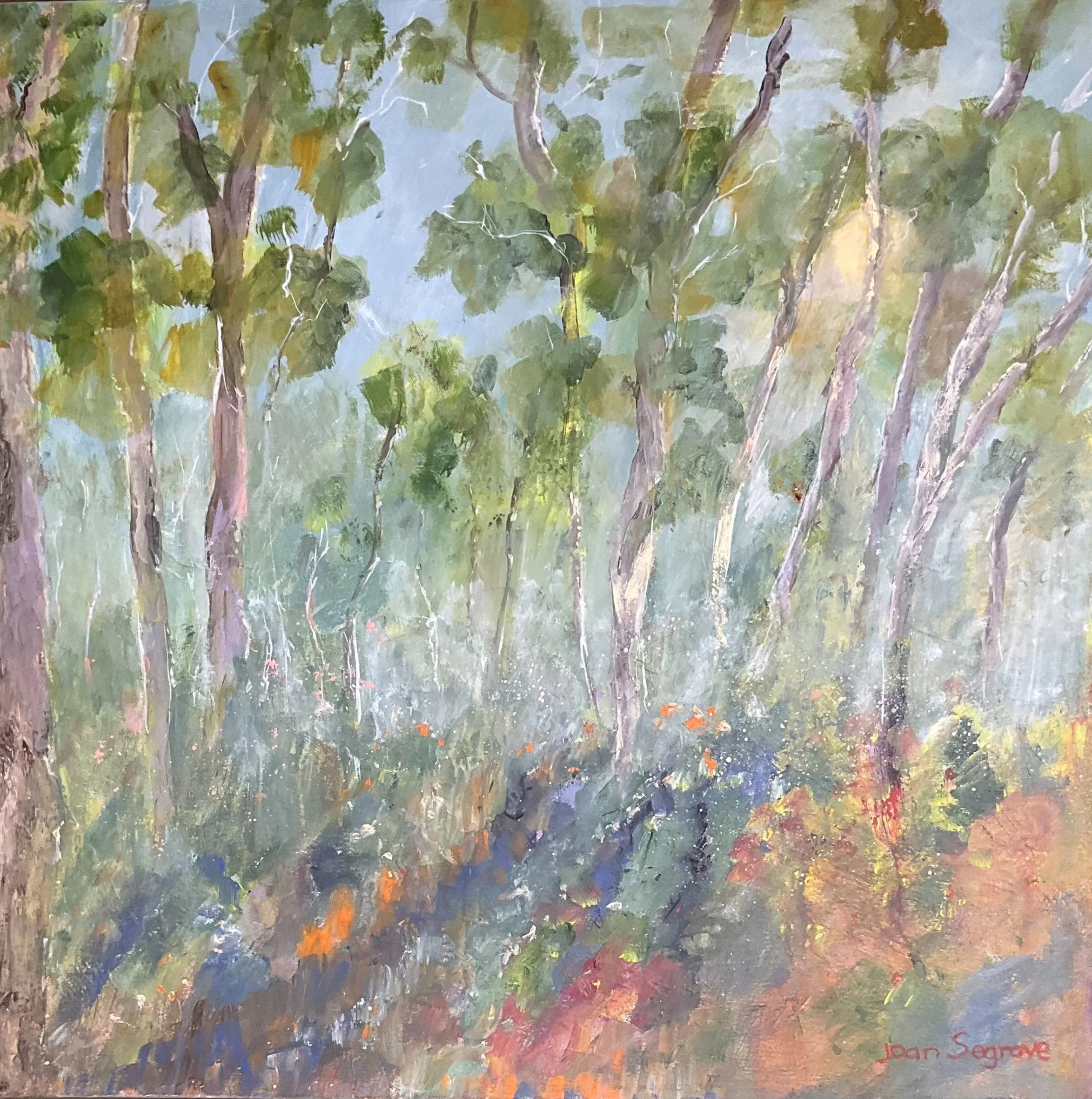 Healesville Autumn 8:30am