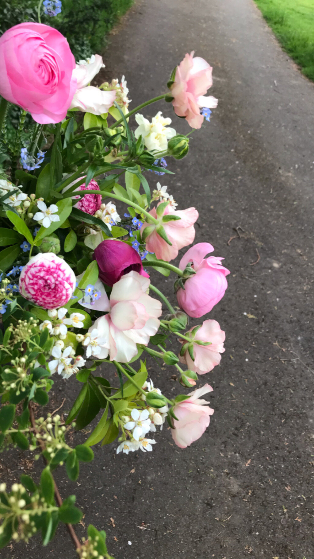 CFD69AE6-F56A-45C0-A370-698D5BCFD9AC