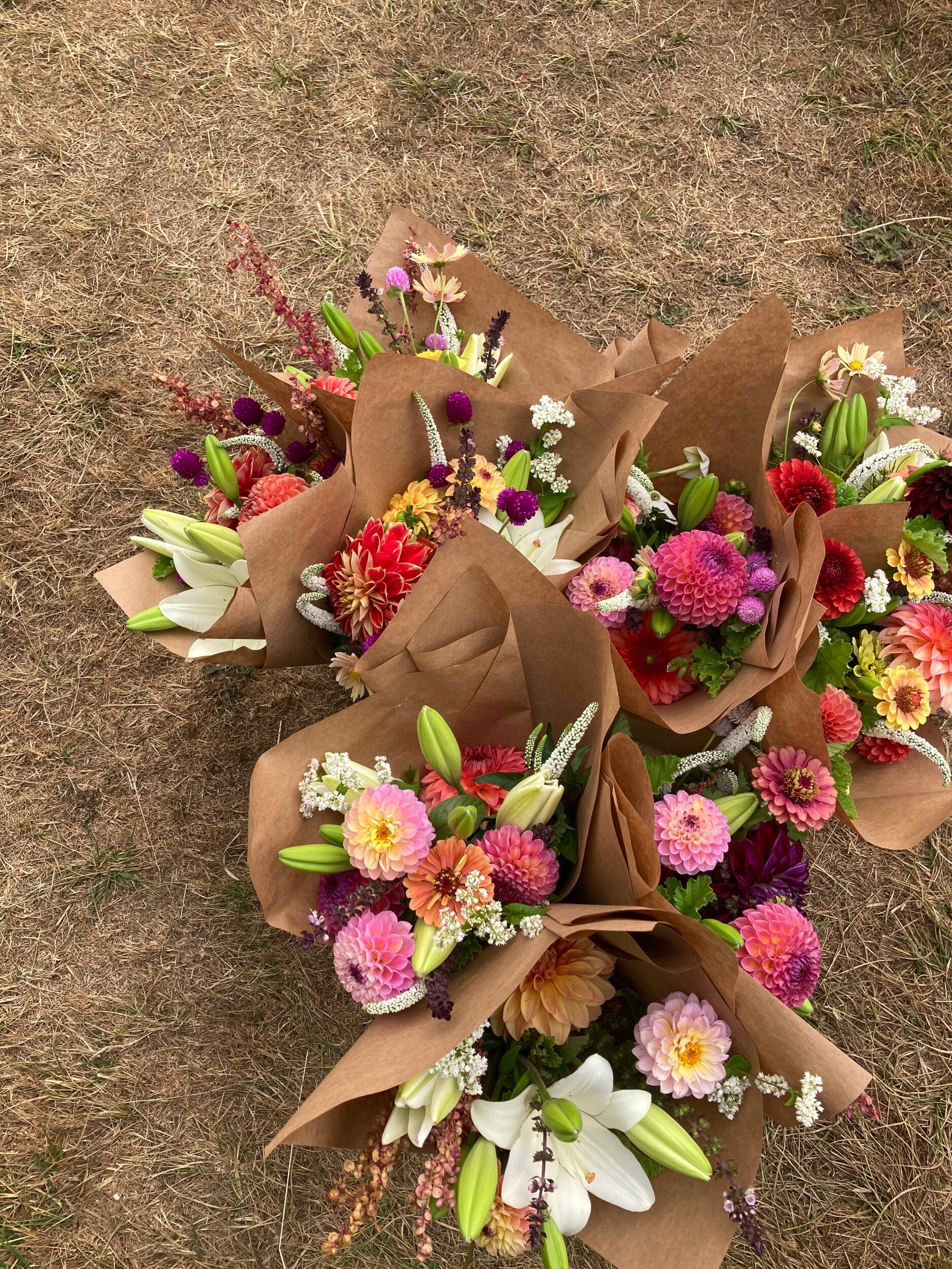 A546A643-99F7-4EE0-9D23-B606433E978B