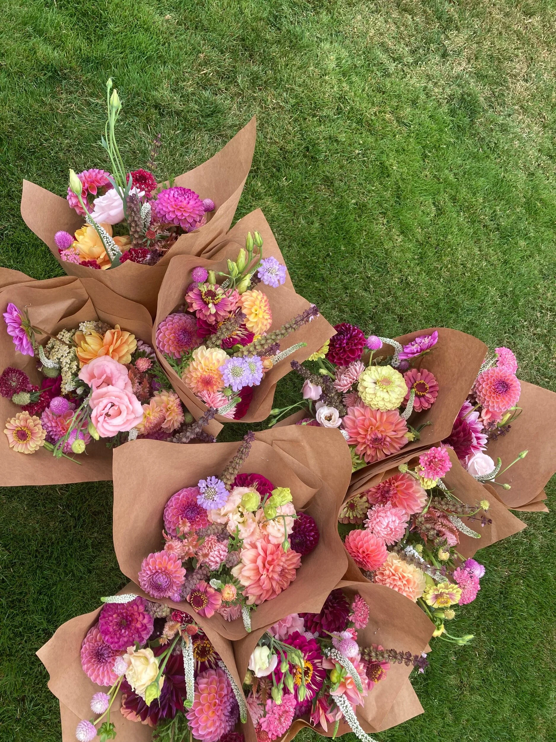 Whole Season CSA 2026