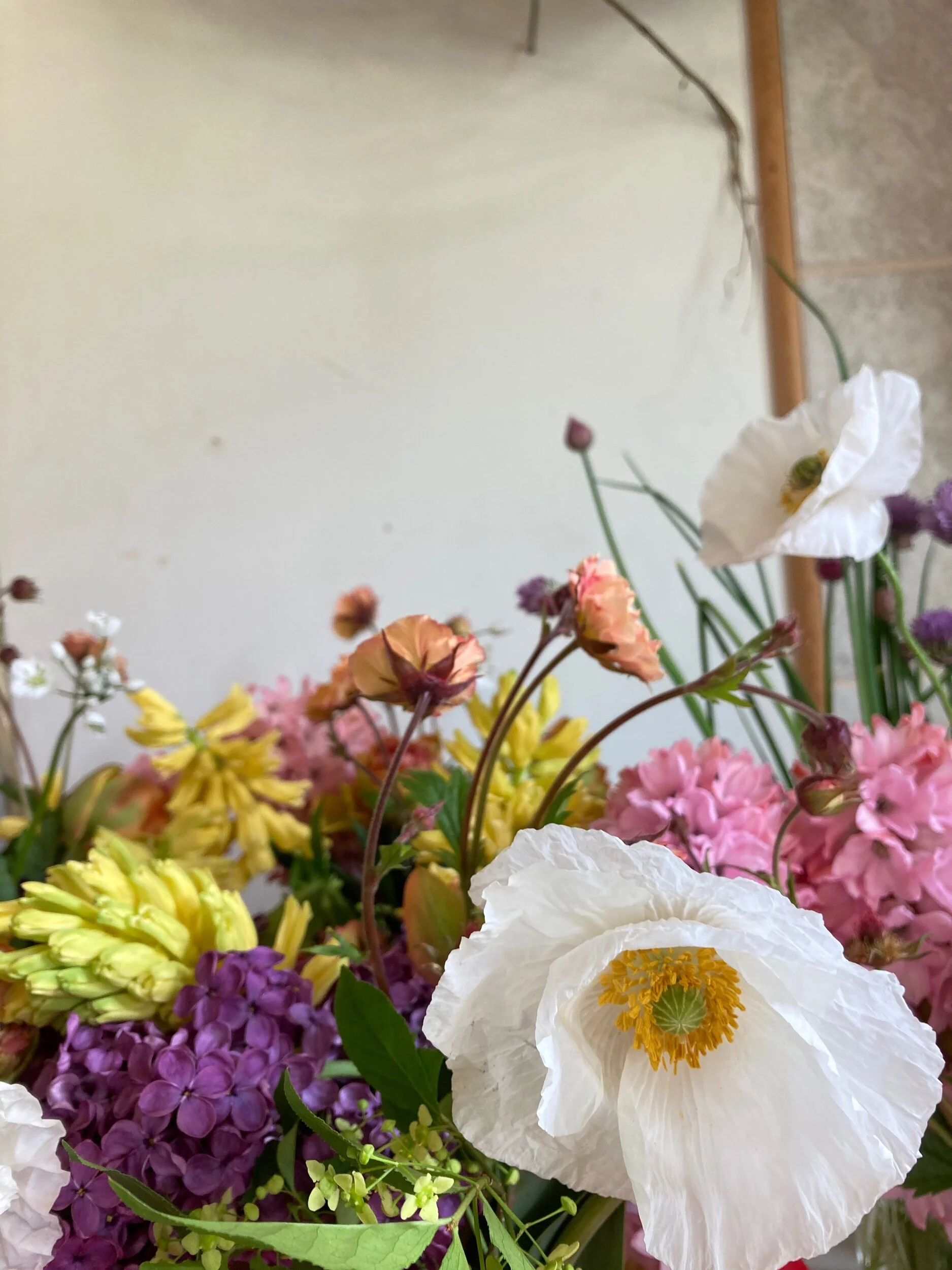 595D8745-B5EA-4854-9739-84F93D1AD252