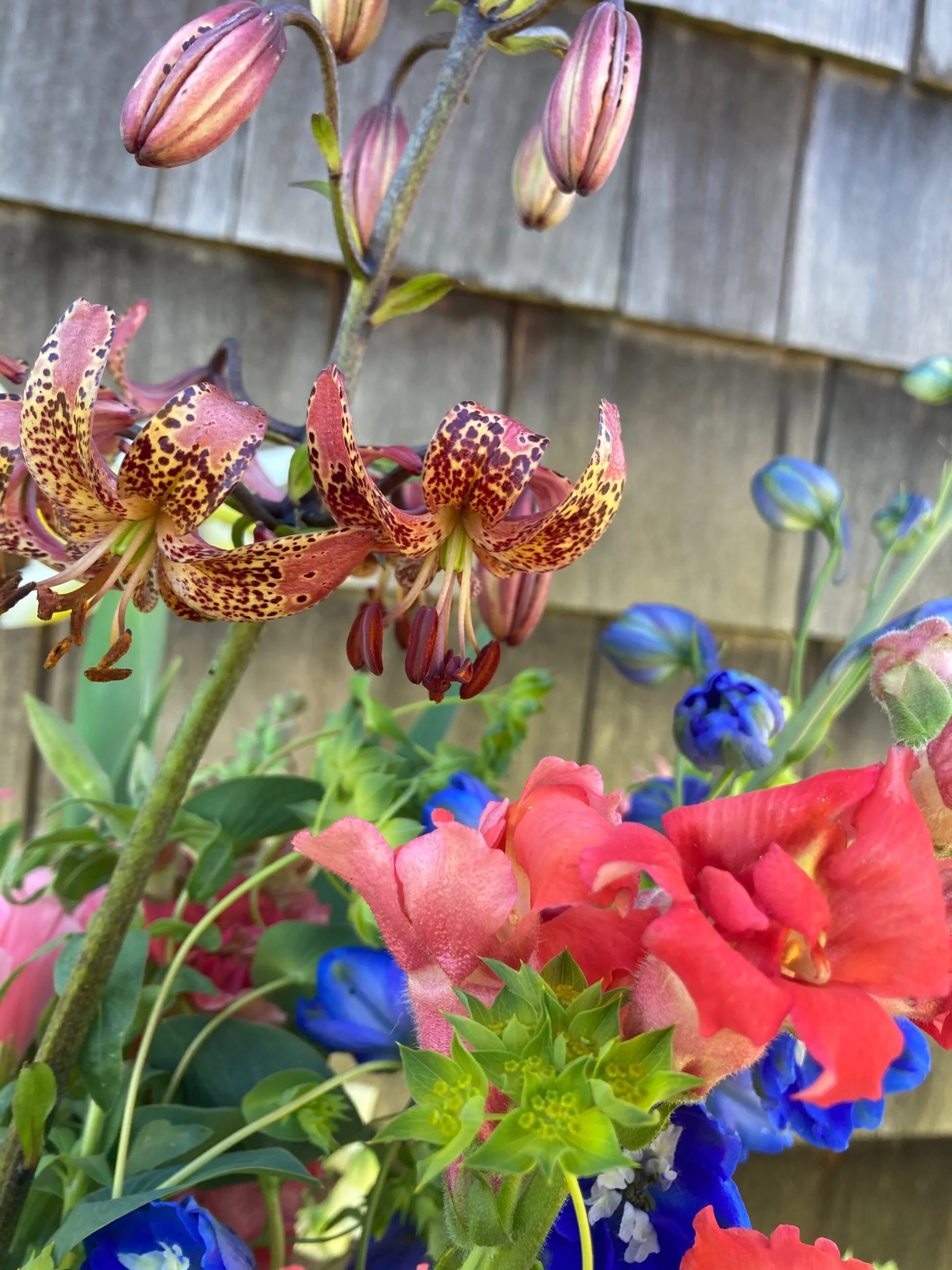 AFF41057-39D6-431F-BBDA-0374805C46E5