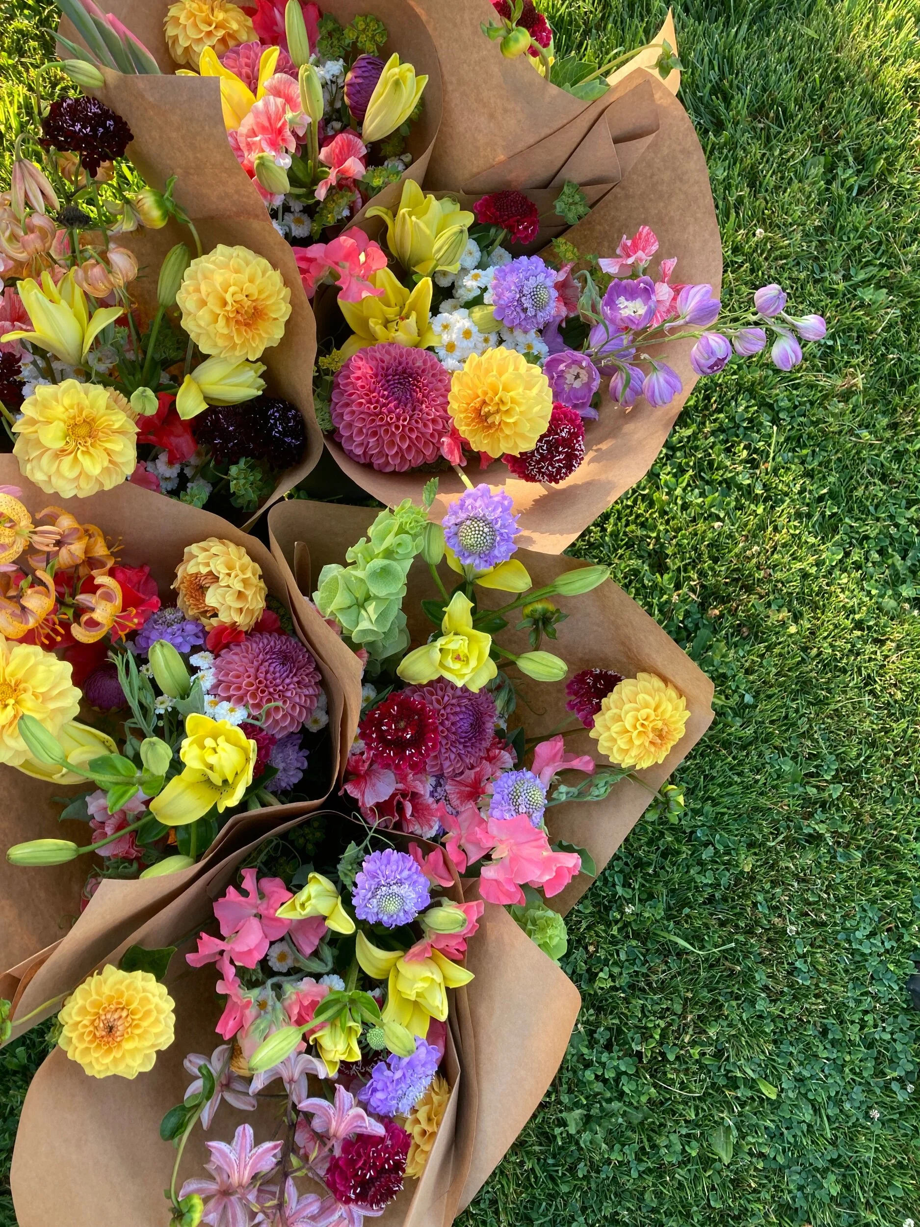 D0367800-1FD8-4AE5-BA53-D9392E652AC5