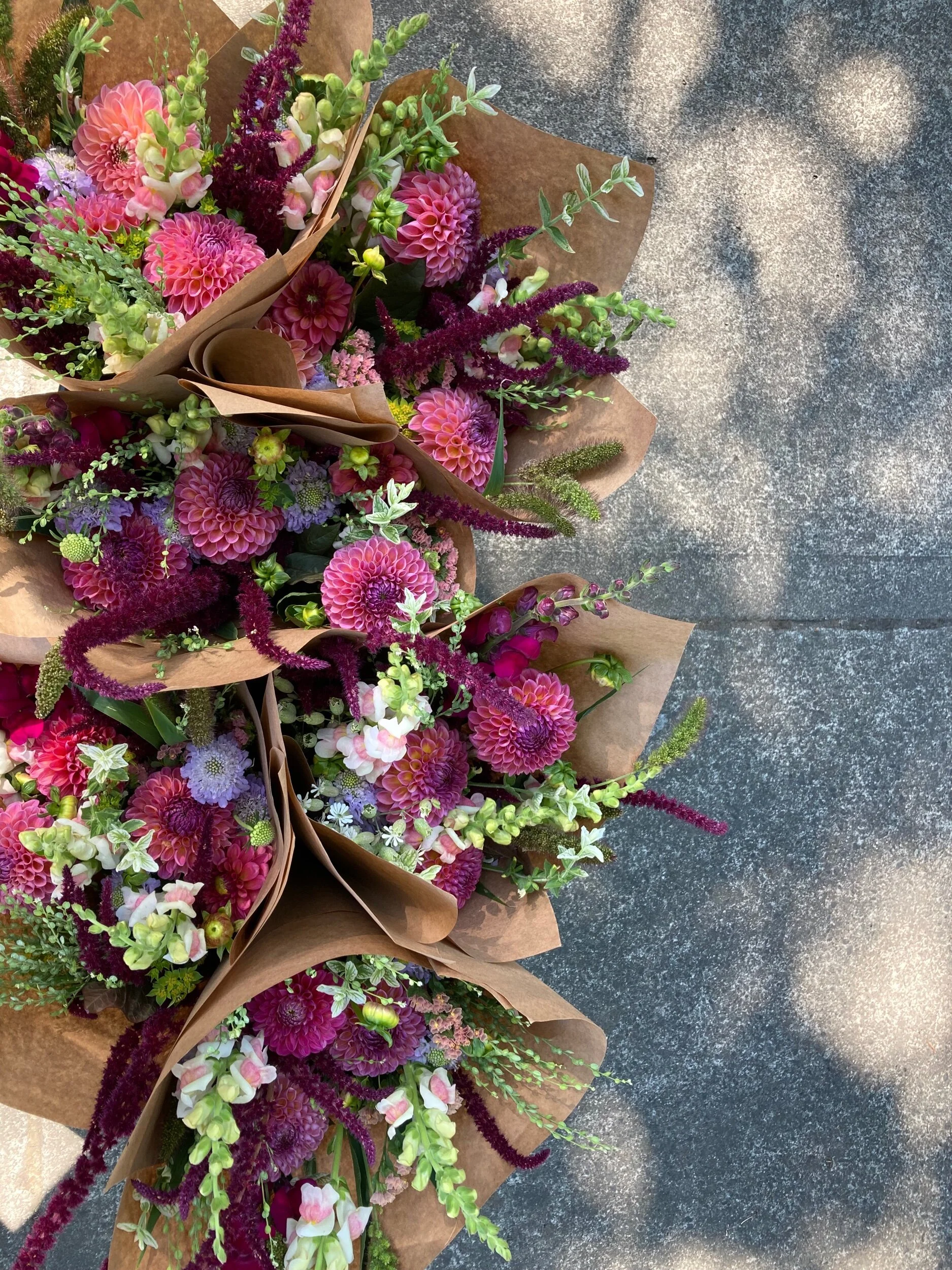 4845C29F-80FB-4E9F-BC56-217546152E59