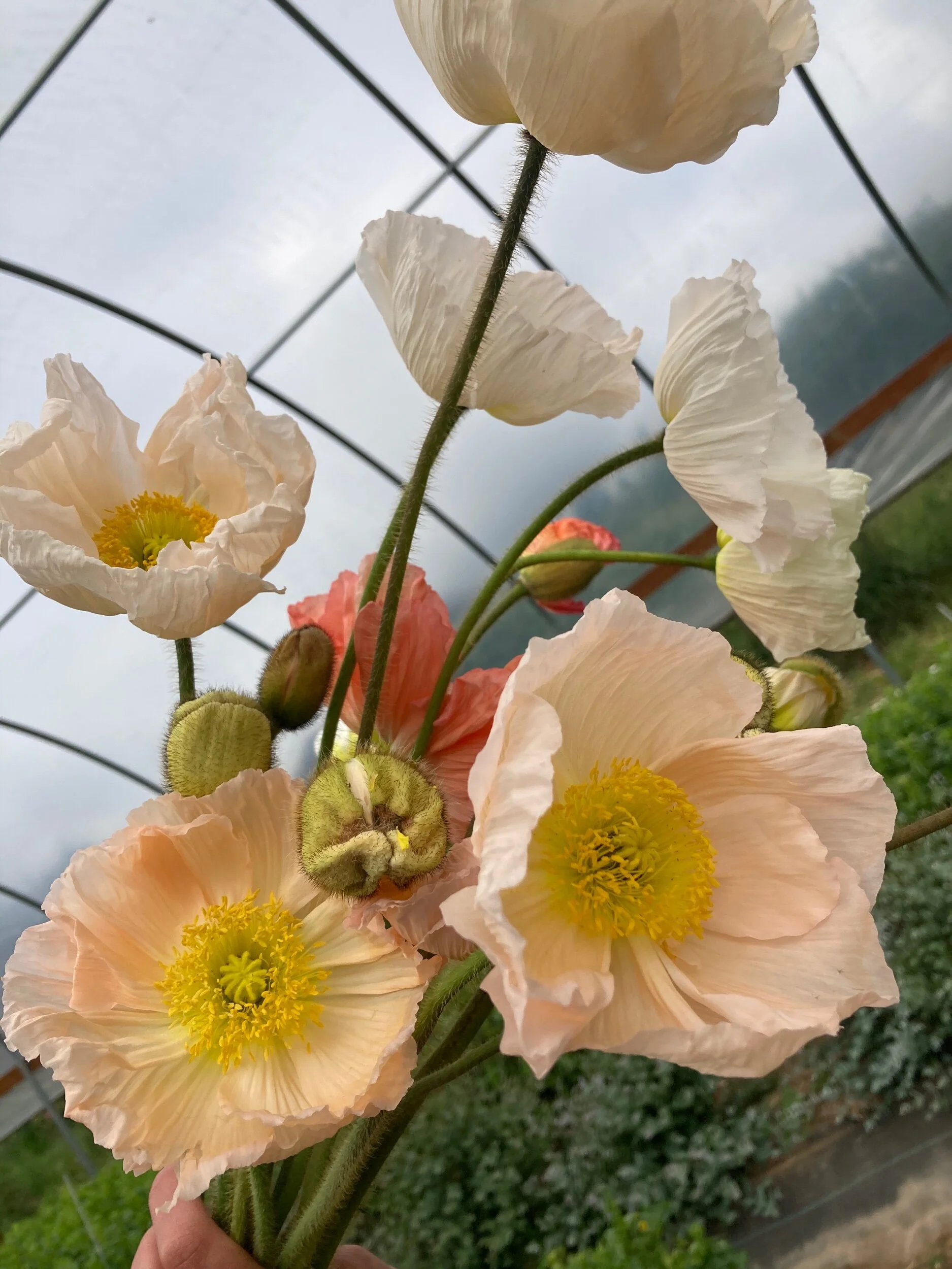 14DC2147-BBB4-4FB9-B9C7-C3CEBEFFC681