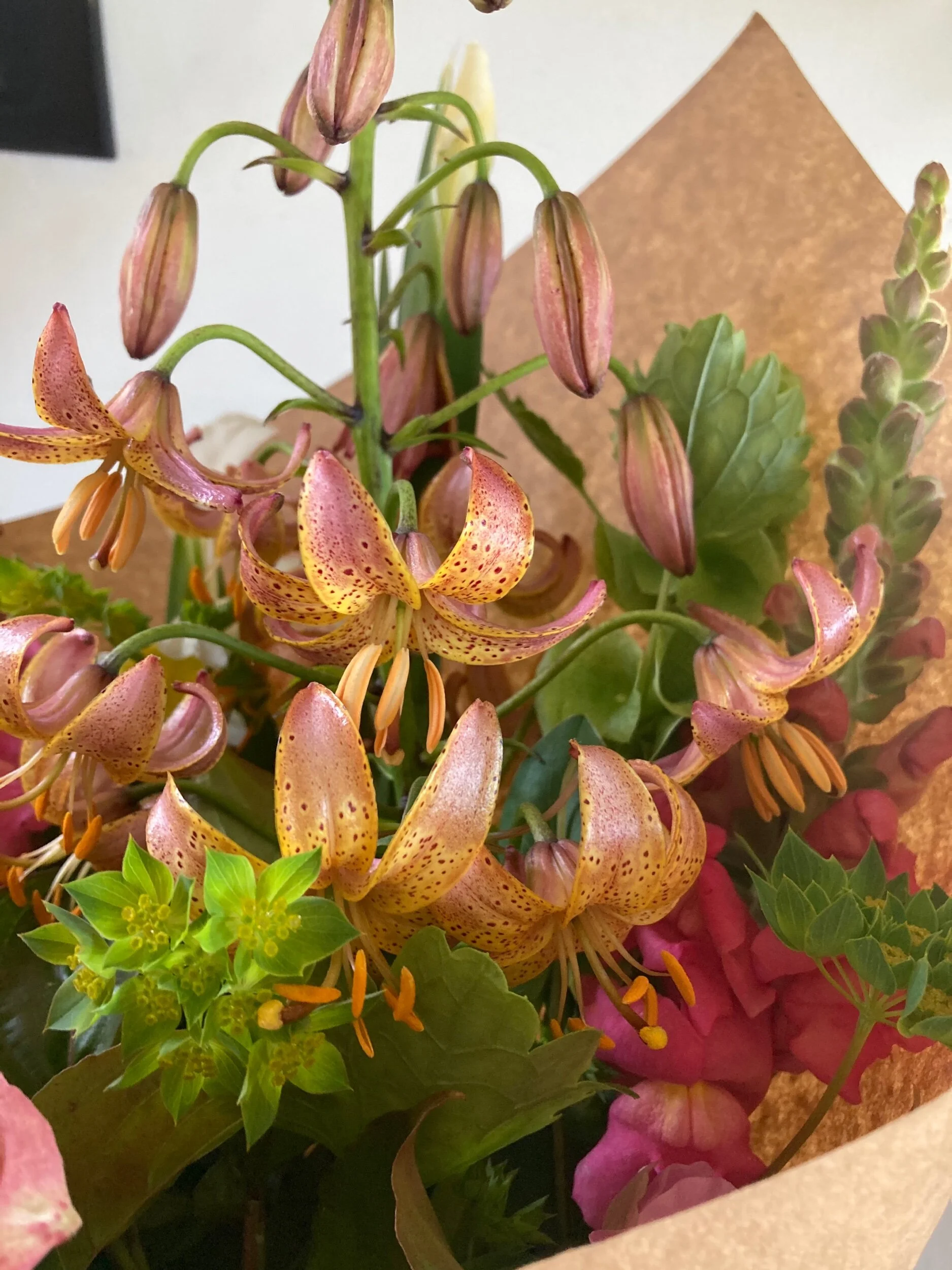 83A45E11-CCD8-435B-9A94-D734E8C51329