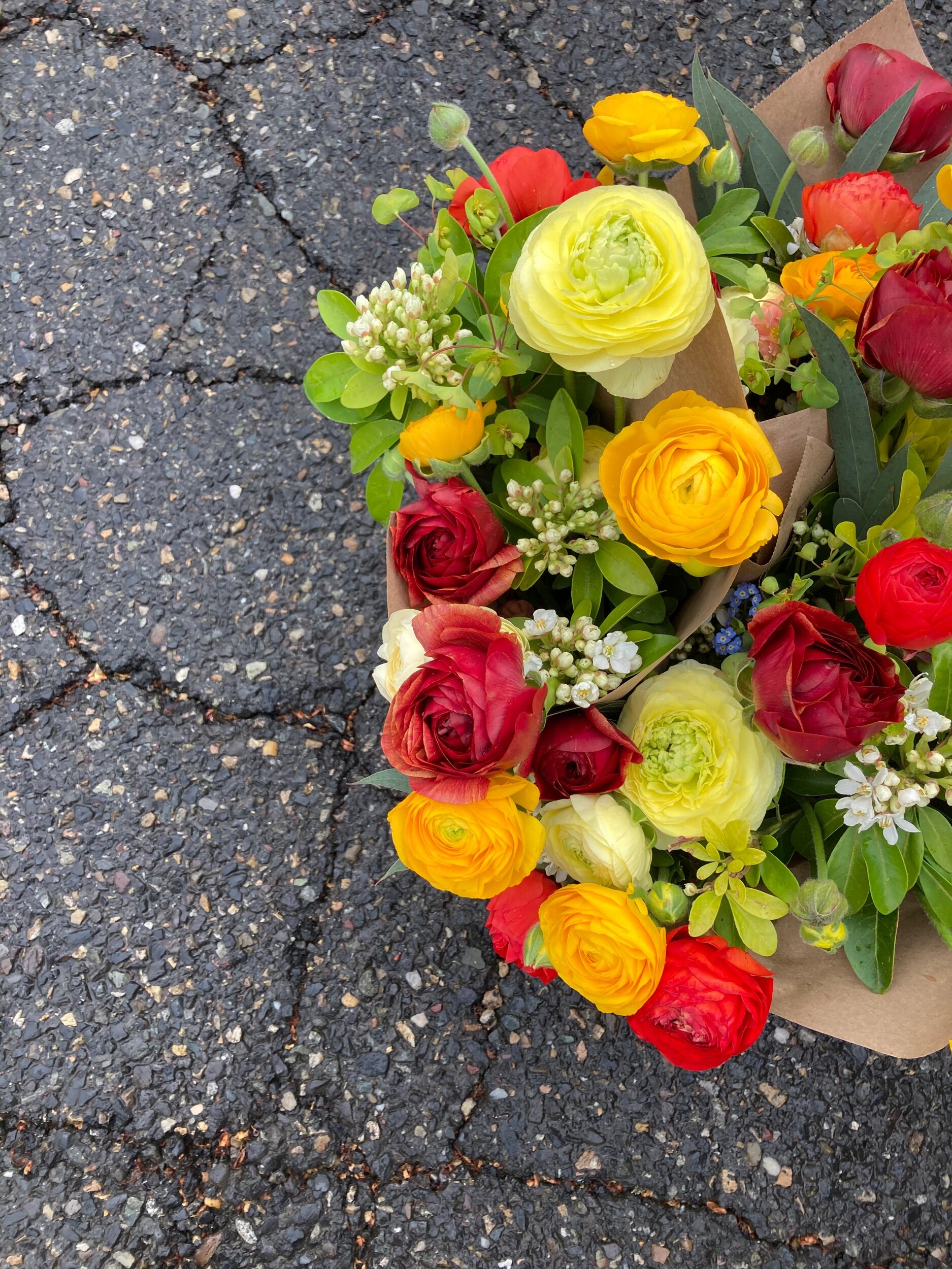 E1D1D1E5-82F3-45F3-B7AB-7FFD588E470D