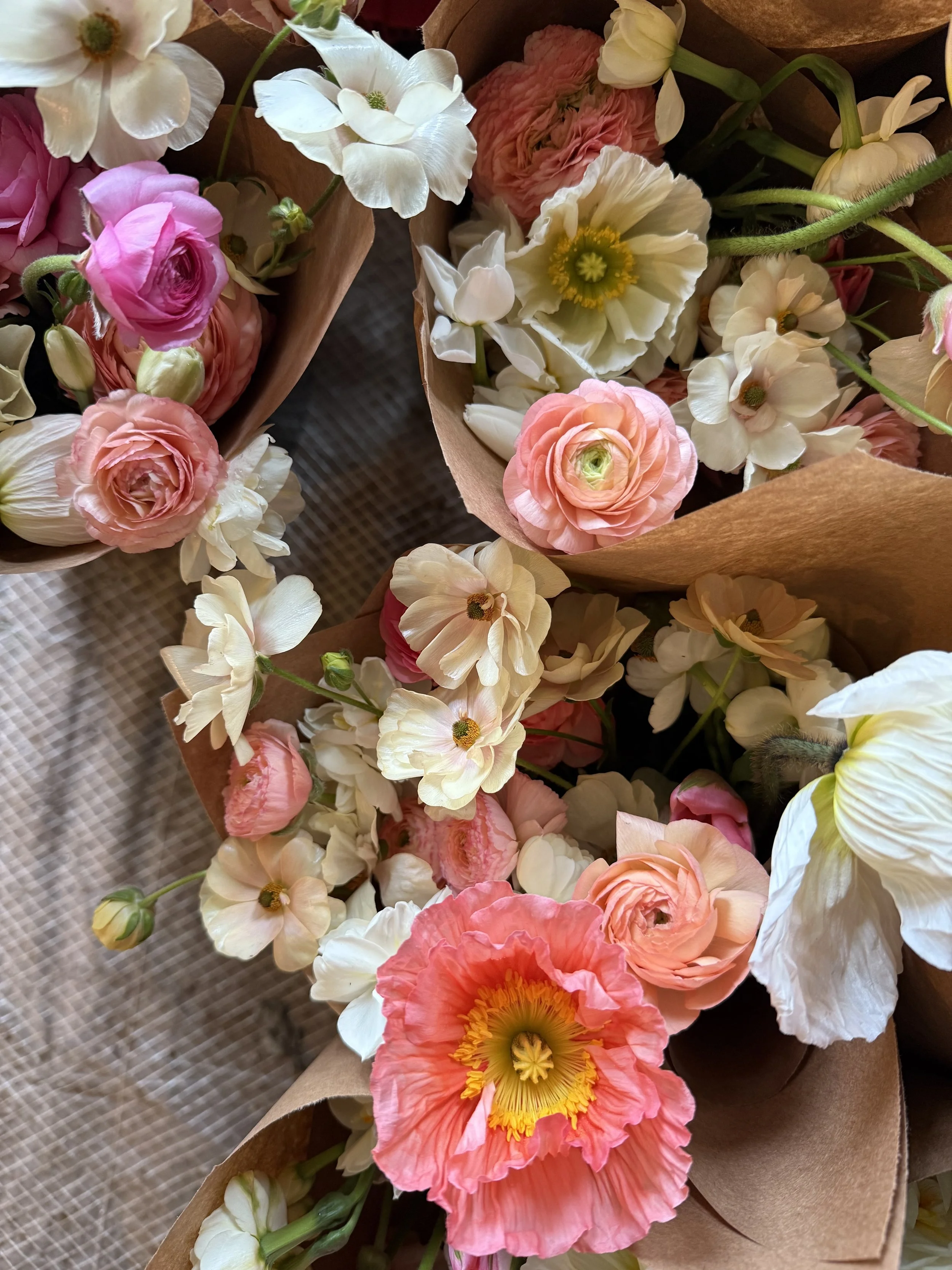 Spring Blooms CSA 2026