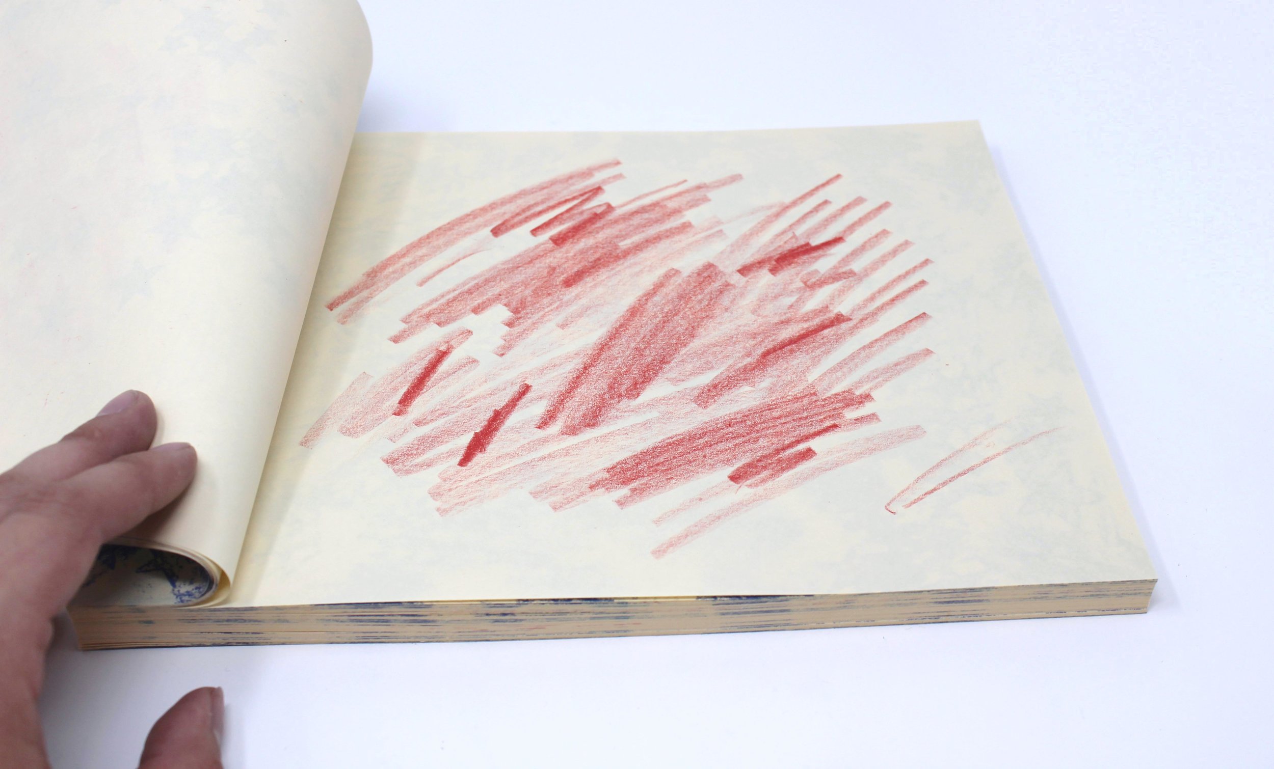 Kate_Horvat_book.JPG