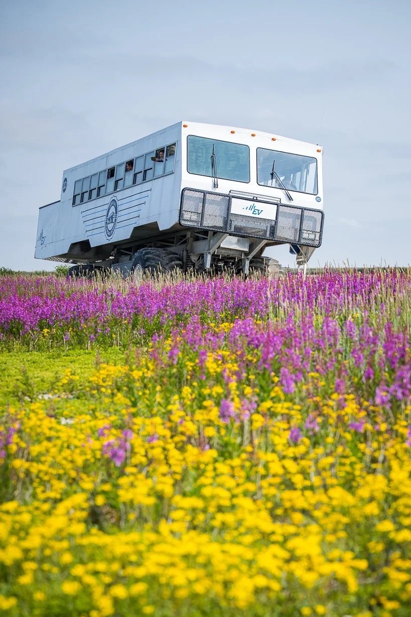 An off-road vehicle with a boxy shape and large tires, driving through a field of yellow and purple wildflowers on a hill, under a cloudy sky.